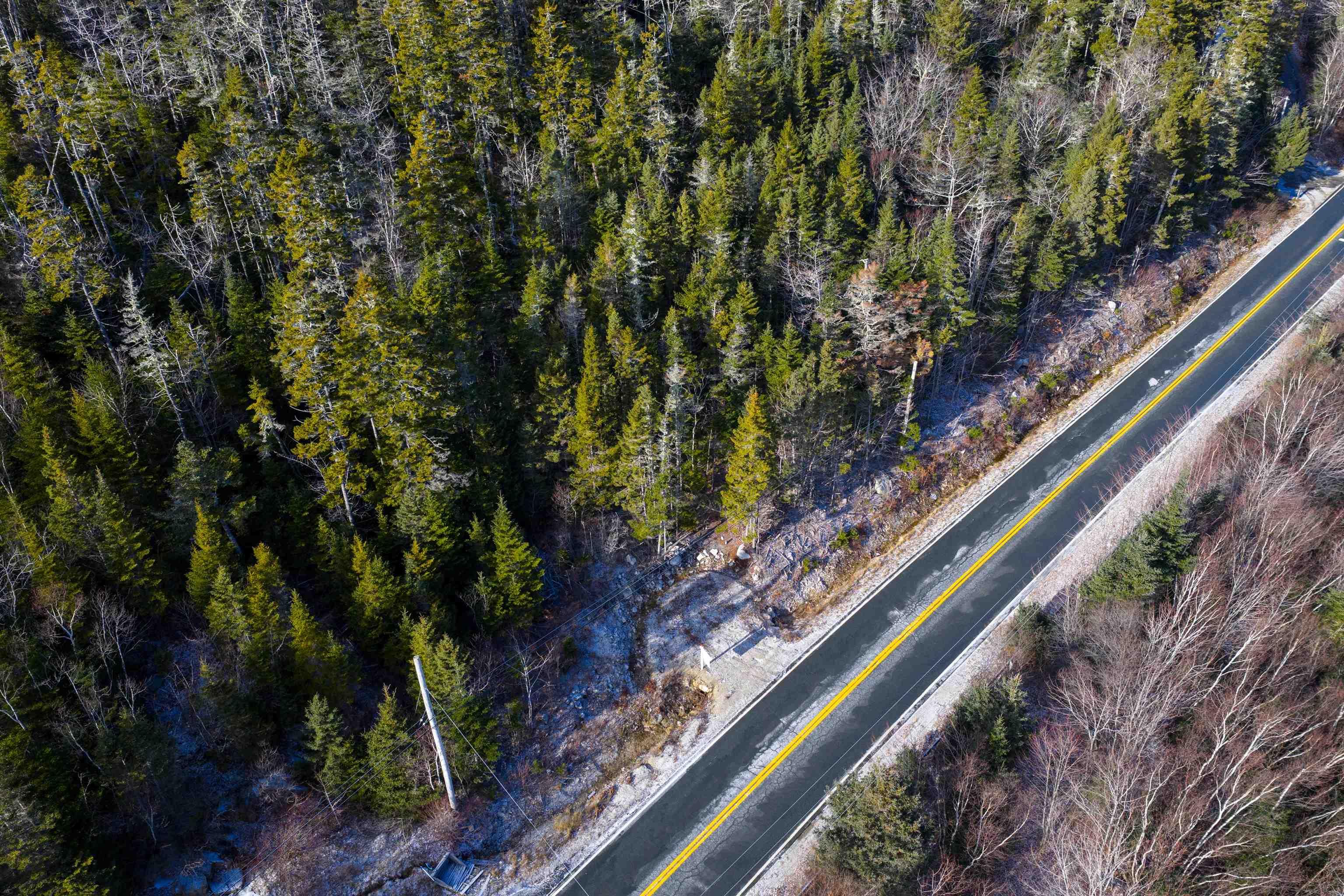 $149,999.00: 329 Highway, Birchy Head