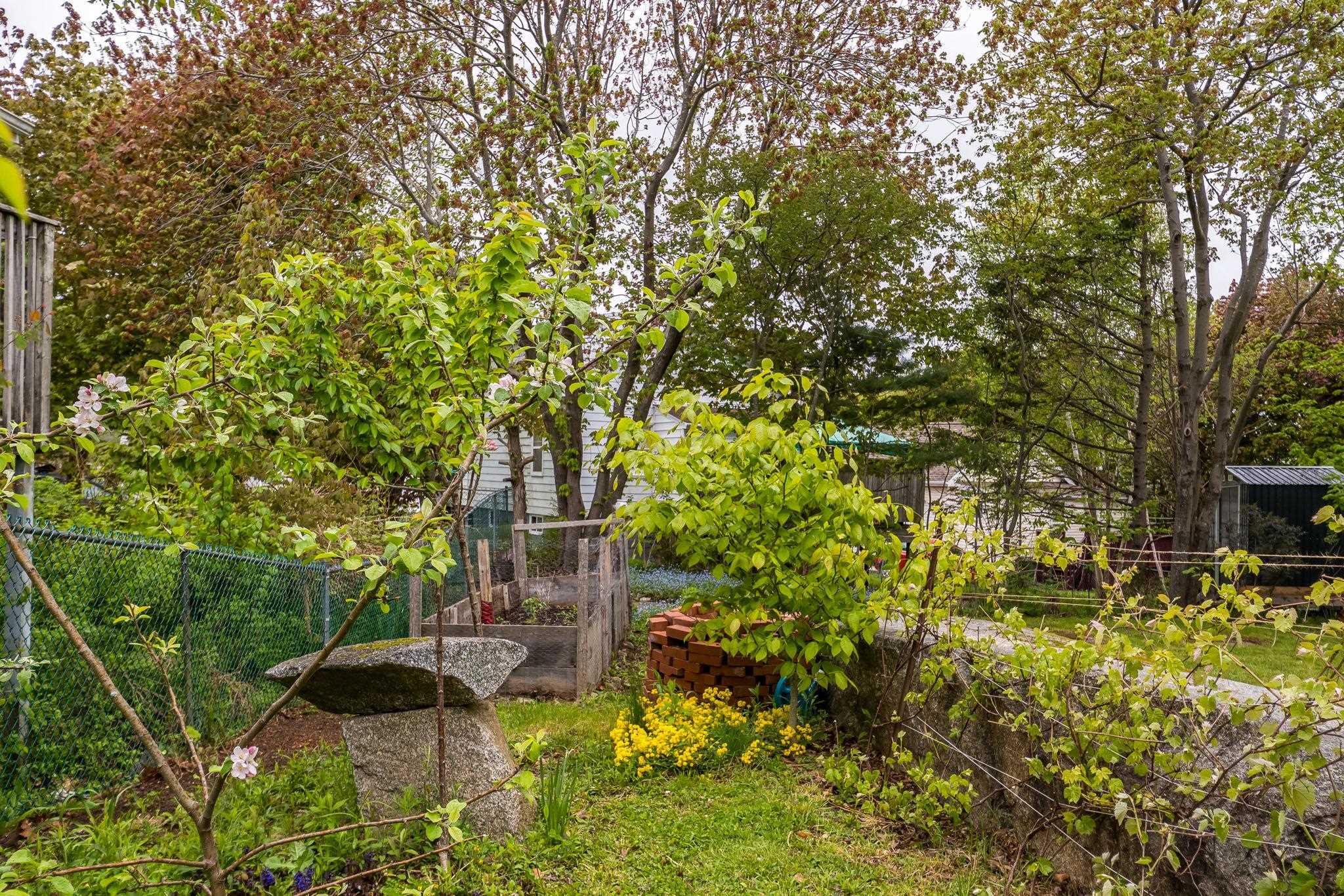 43 Winchester Avenue, Halifax, NS (MLS 202612843)