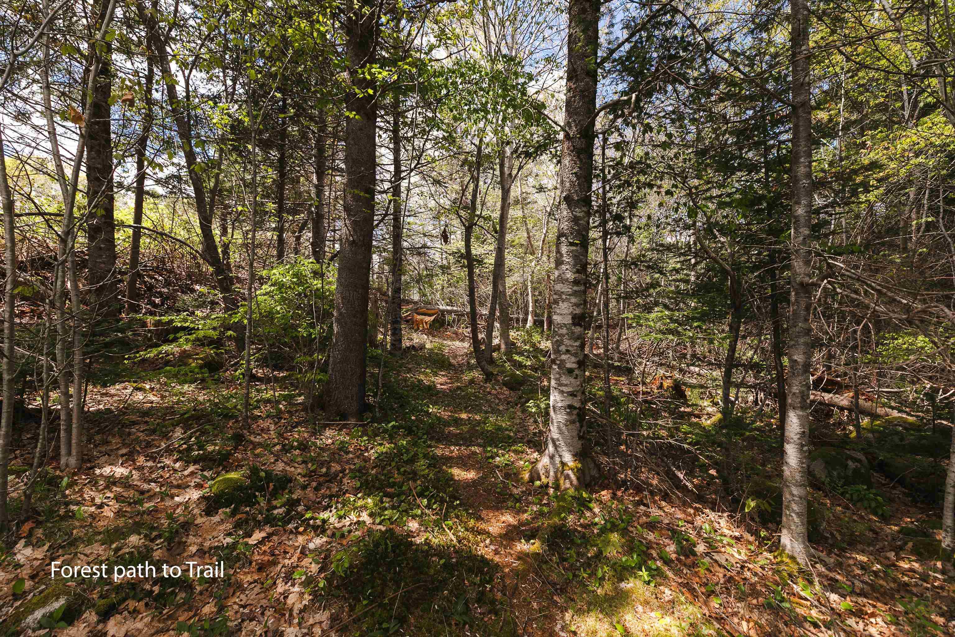 10317 St Margarets Bay Road, Hubbards, NS (MLS 202612866)