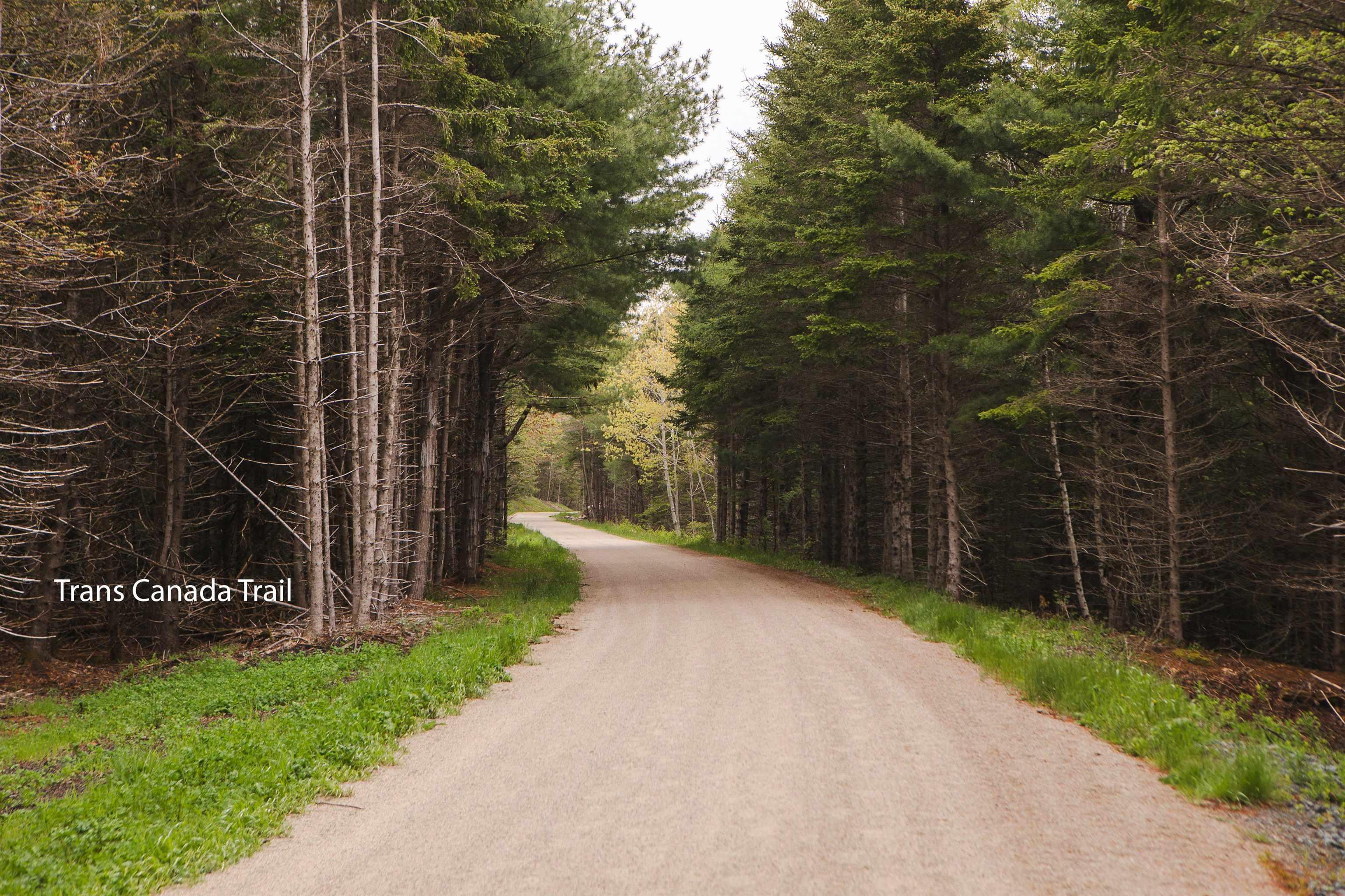 10317 St Margarets Bay Road, Hubbards, NS (MLS 202612866)