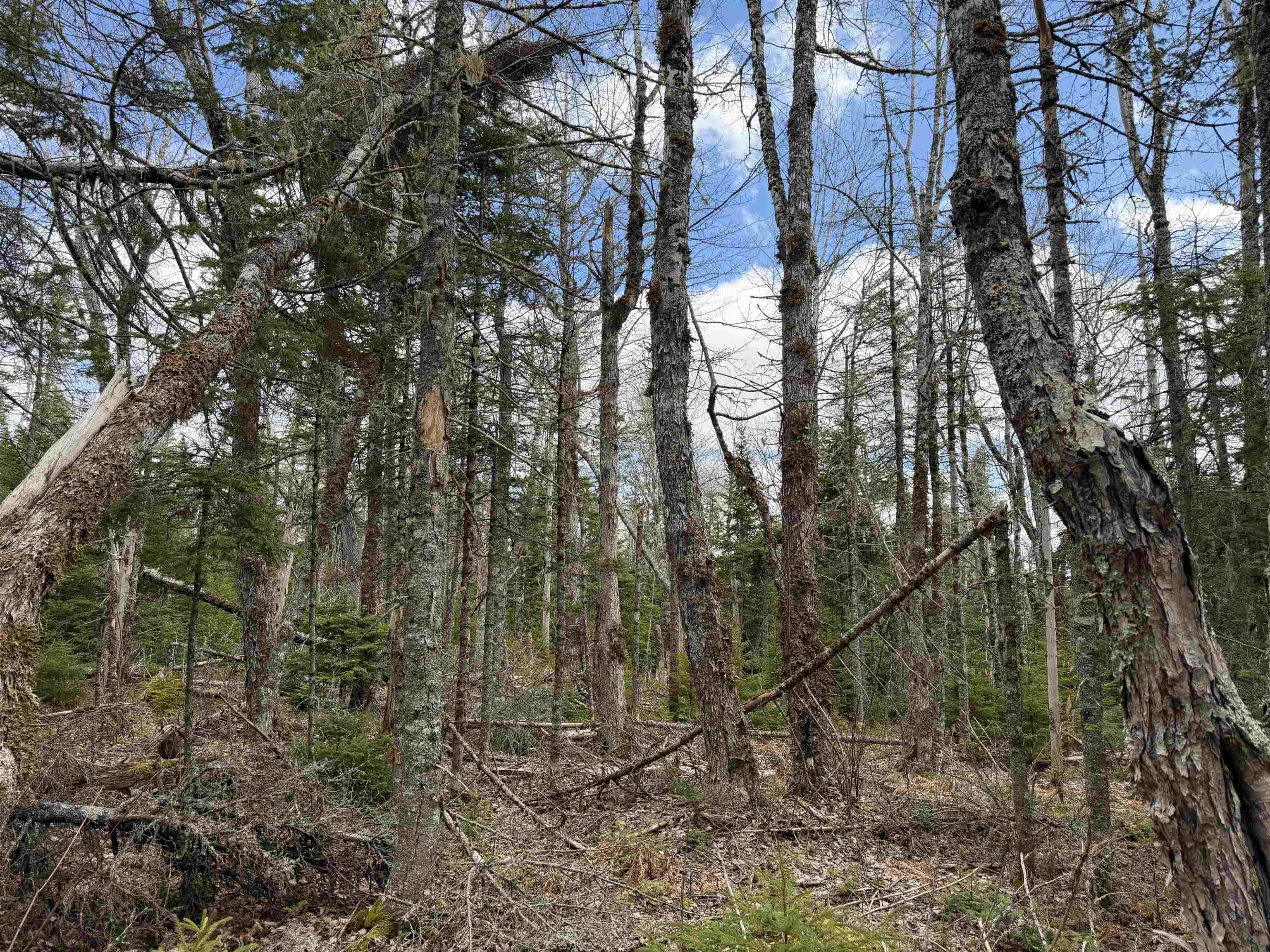 $55,000.00: Lot CL4 Palmer Road, West Wentworth