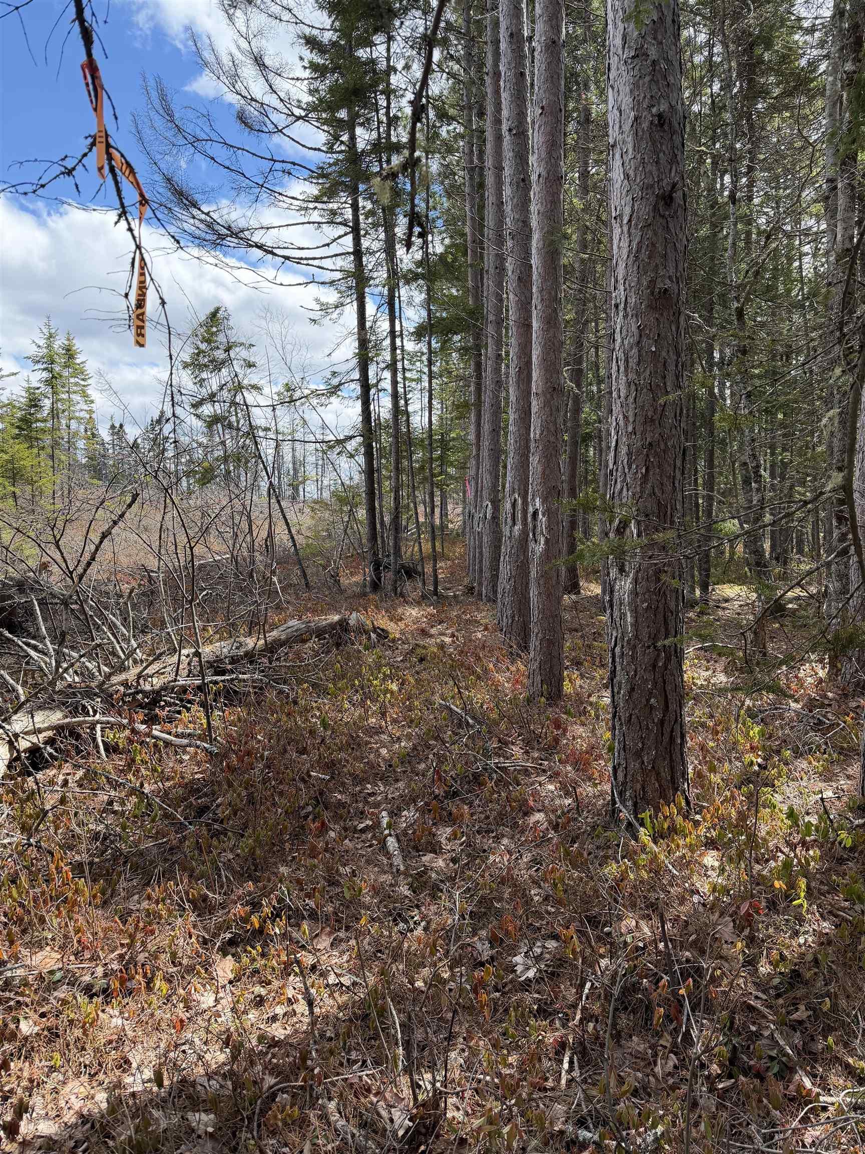 $60,000.00: Lot CL5 Palmer Road, West Wentworth