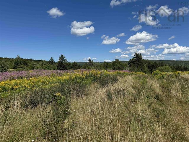 $95,000.00: 5907 395 Highway, South West Margaree