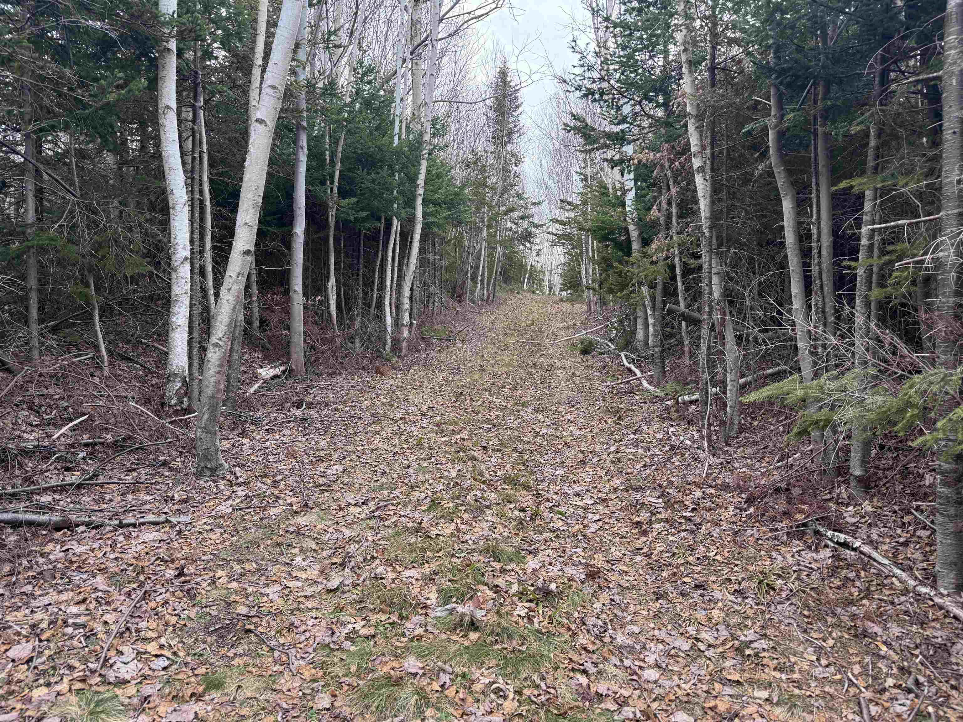 $199,000.00: 2058 New campbellton Road, Cape Dauphin