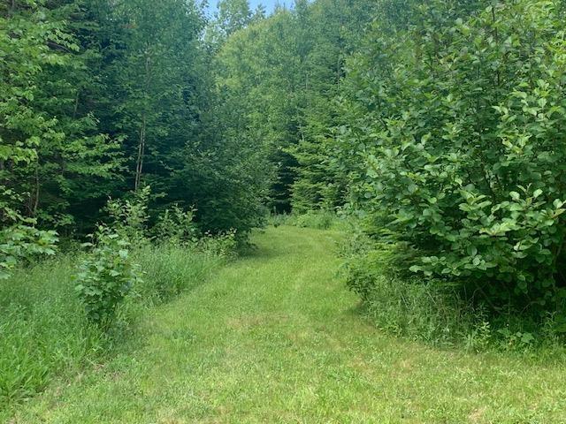 $995,000.00: 879 Sarsfield Road, Chipman Brook