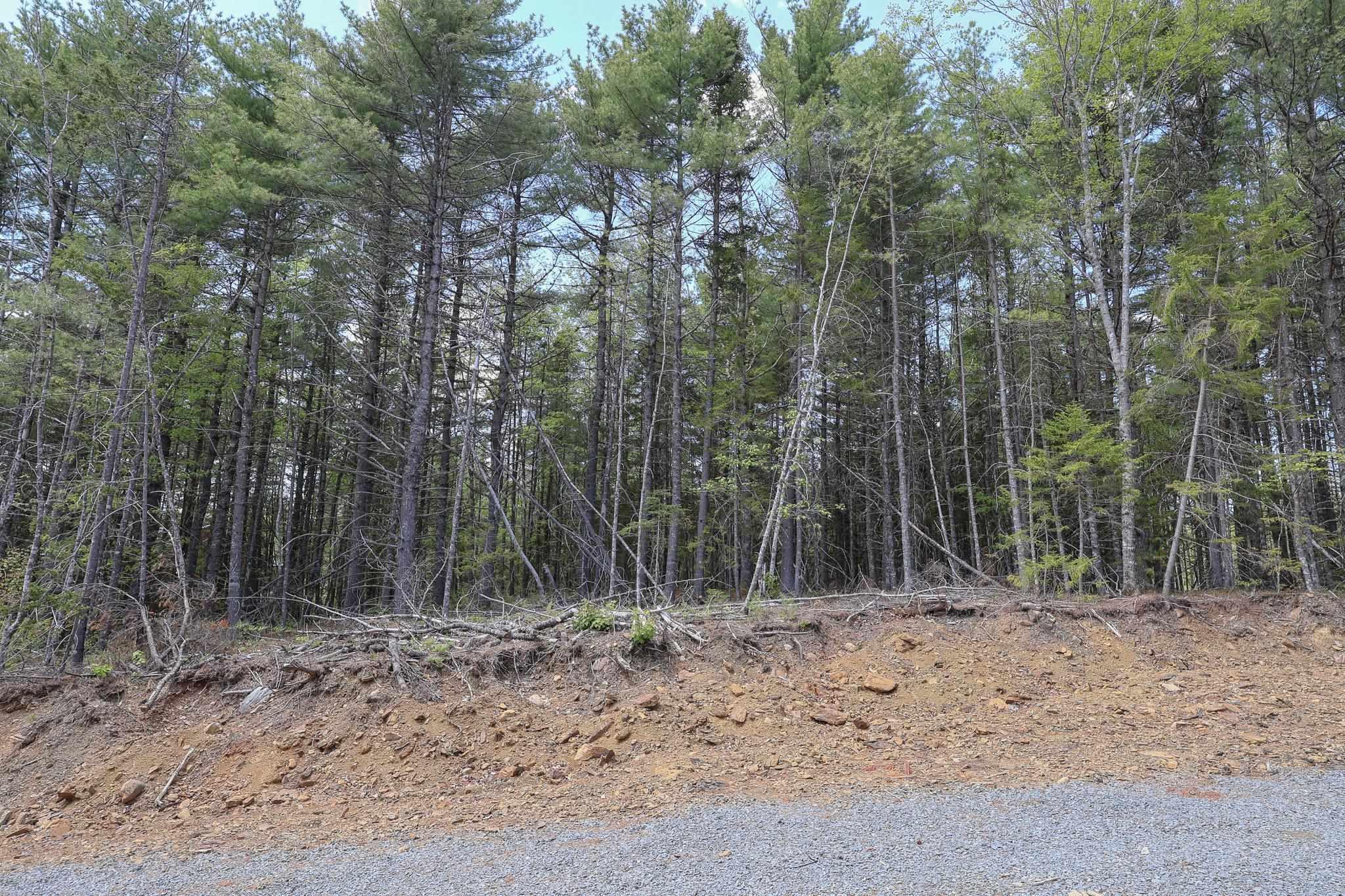 $79,900.00: Lot 101 Cleversey Ridge Park, Fauxburg