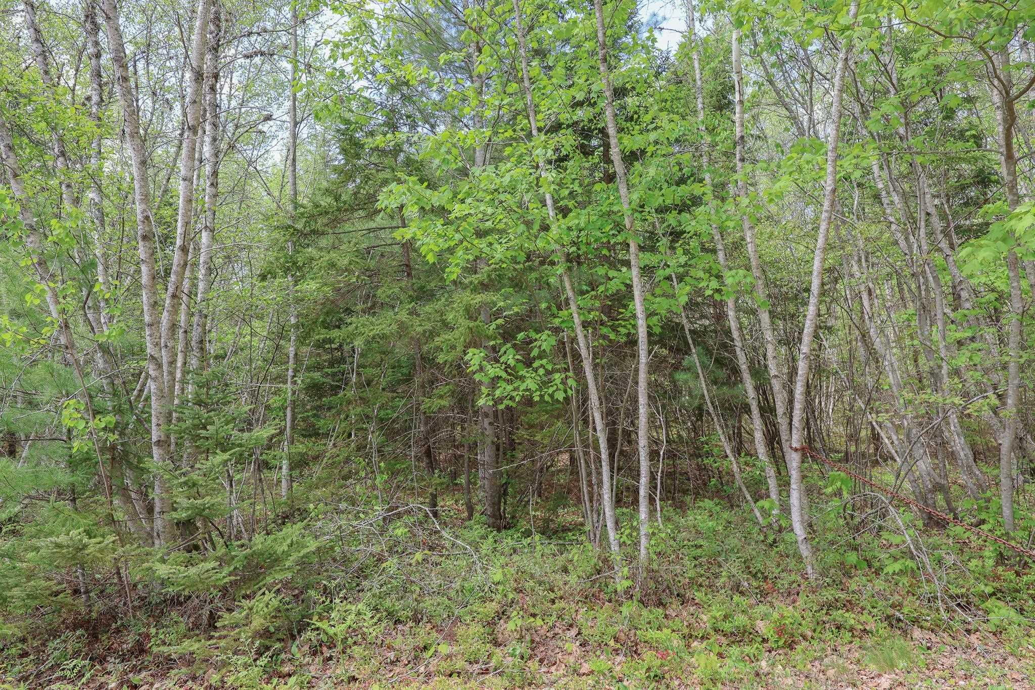 $79,900.00: Lot 102 Cleversey Ridge Park, Fauxburg
