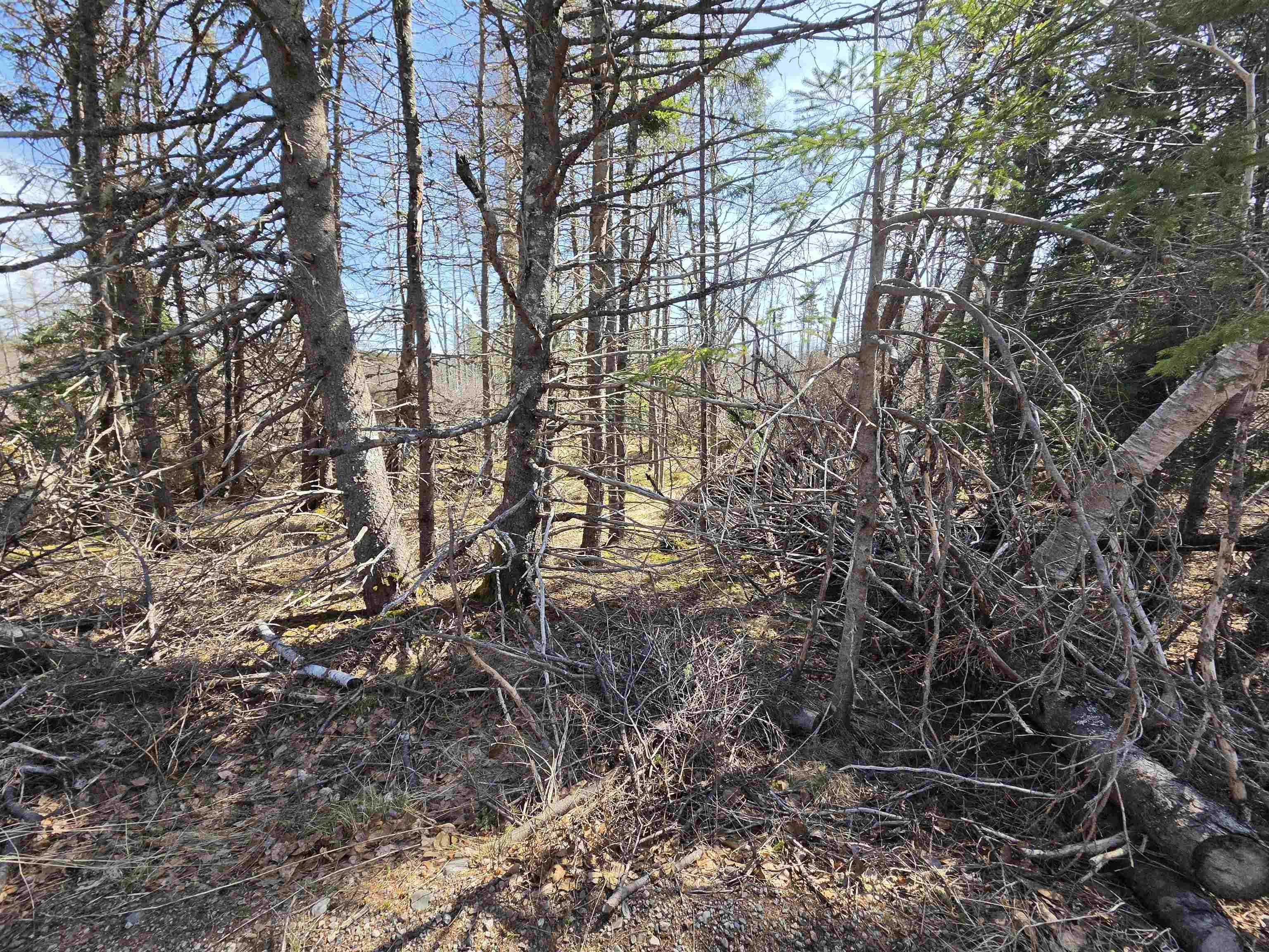 $76,000.00: Malcolms Road, Albert Bridge