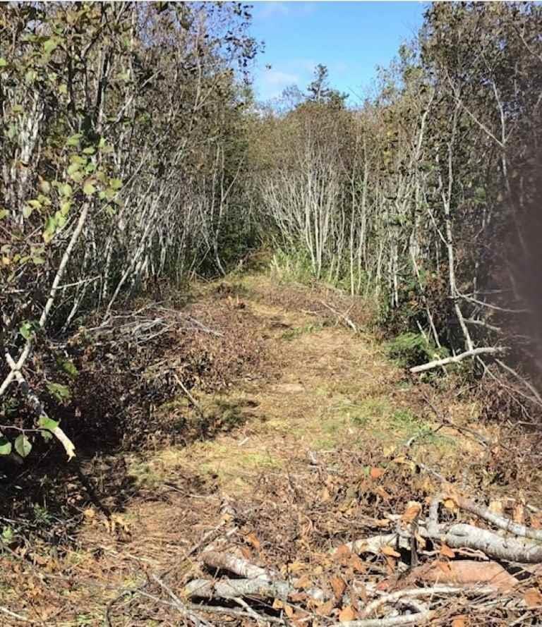 Lot 1 Lake Doucette Road, Lake Doucette, NS (MLS® 202612942)