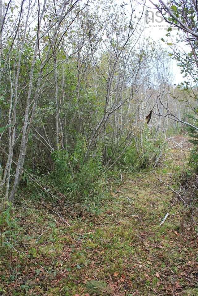 $22,500.00: Lot 1 Lake Doucette Road, Lake Doucette