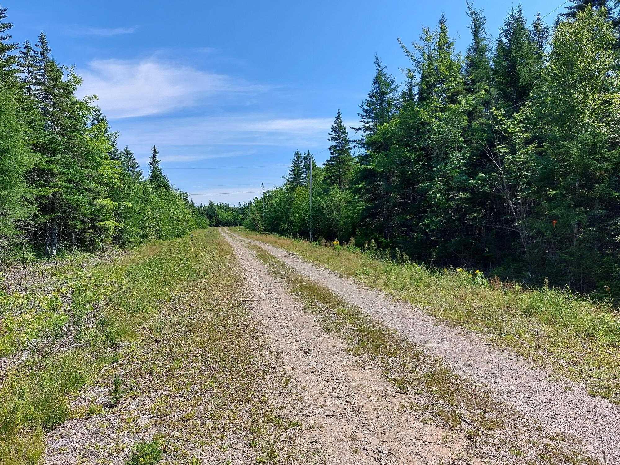 $69,900.00: Lot 98-7C Gabe MacIsaac, Salem Road, Loch Lomond