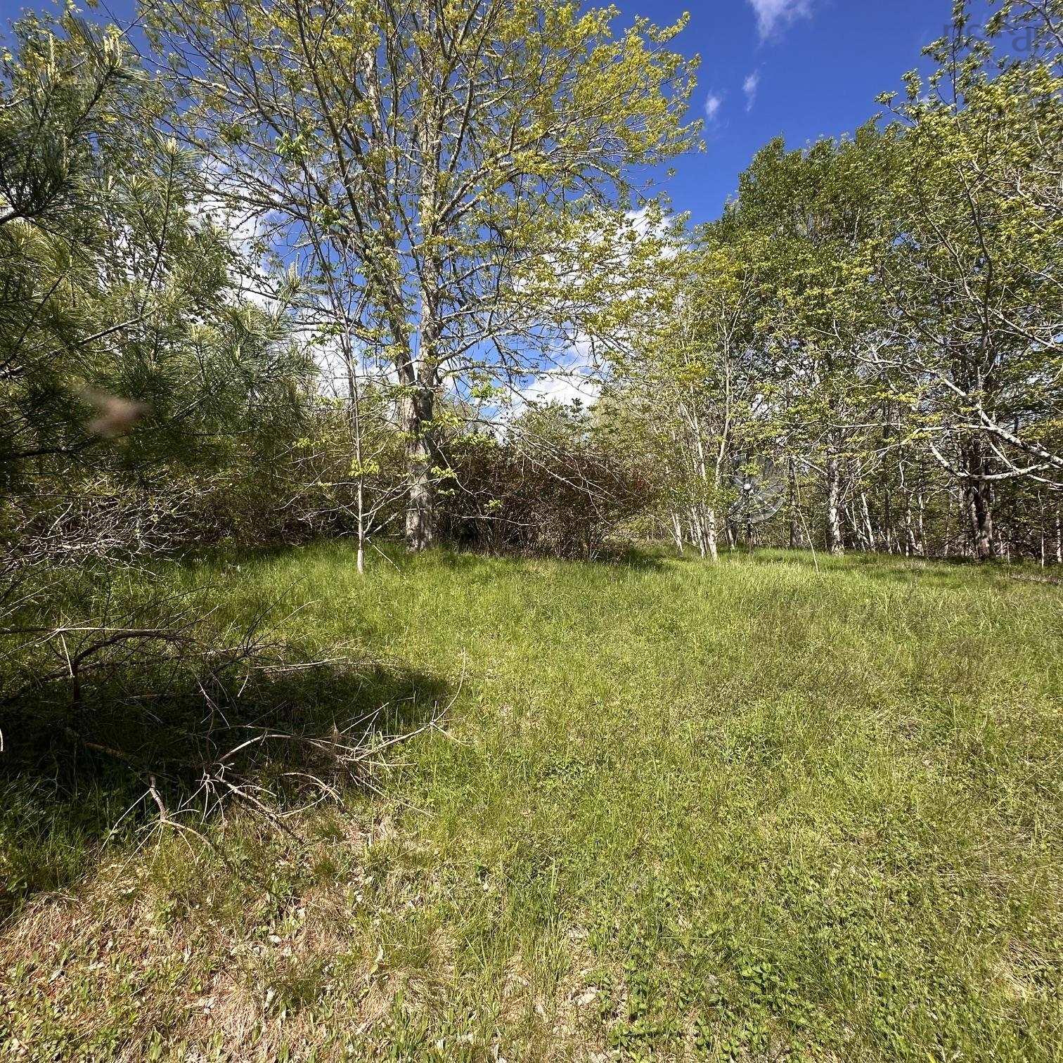 $34,900.00: Lot (PID 70130604) Wellington Road, Buckfield