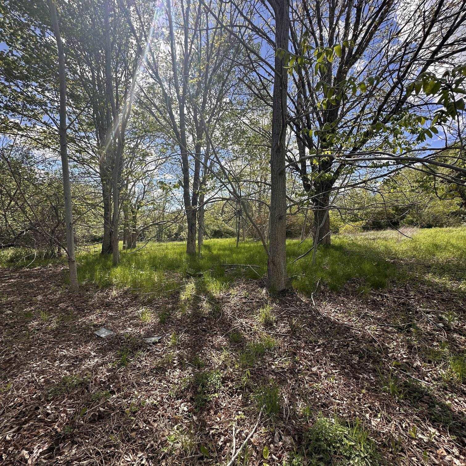 $34,900.00: Lot (PID 70130604) Wellington Road, Buckfield