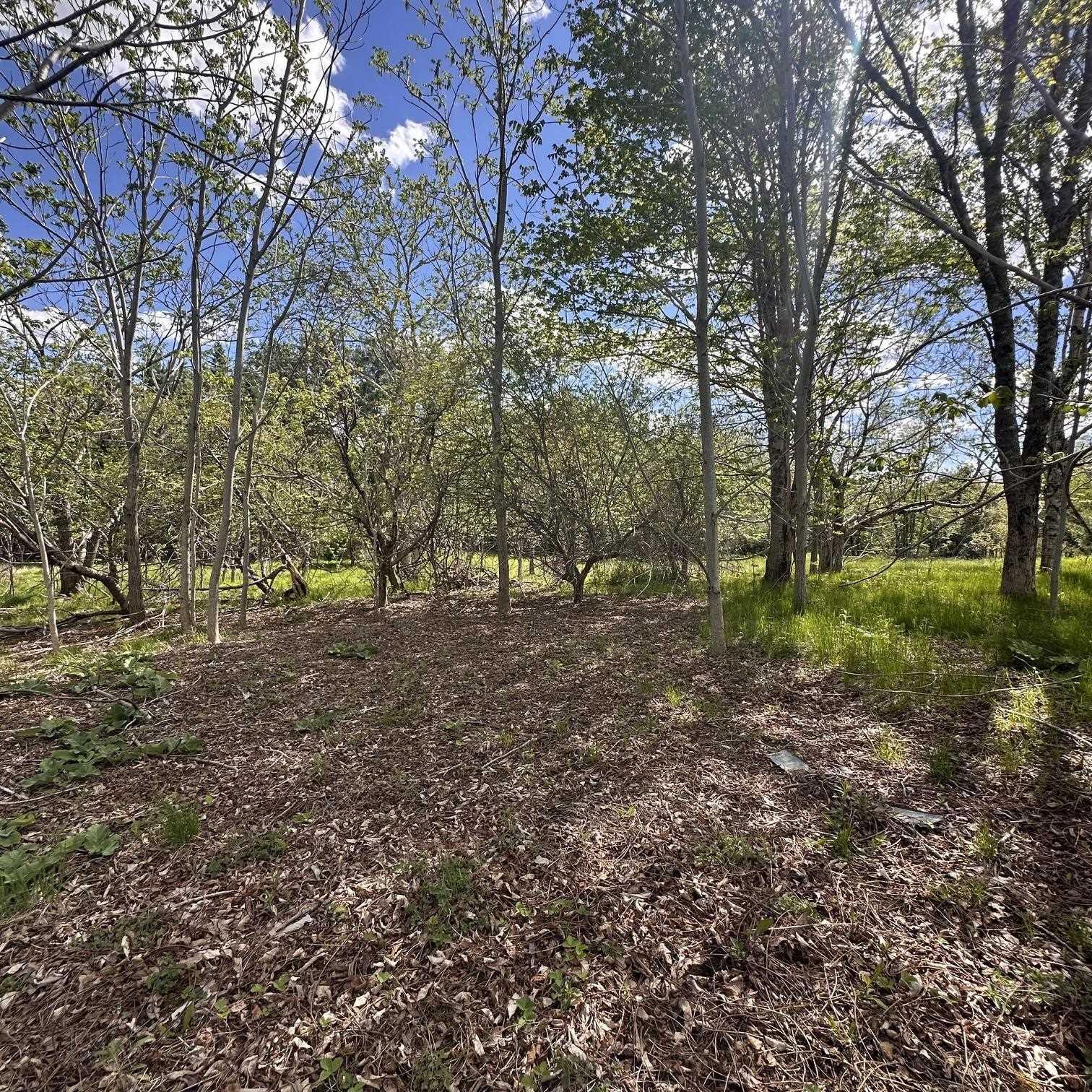 $34,900.00: Lot (PID 70130604) Wellington Road, Buckfield