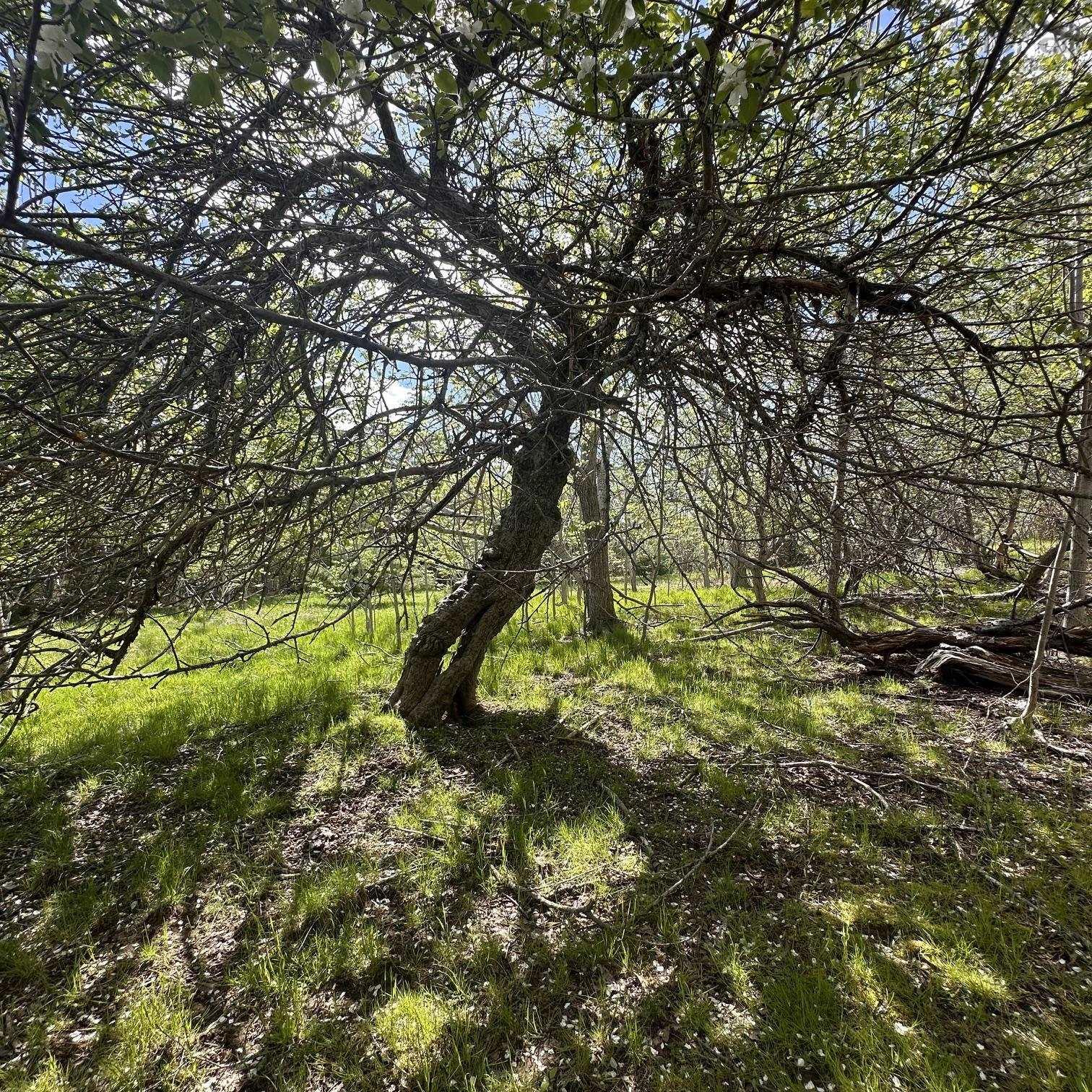 $34,900.00: Lot (PID 70130604) Wellington Road, Buckfield