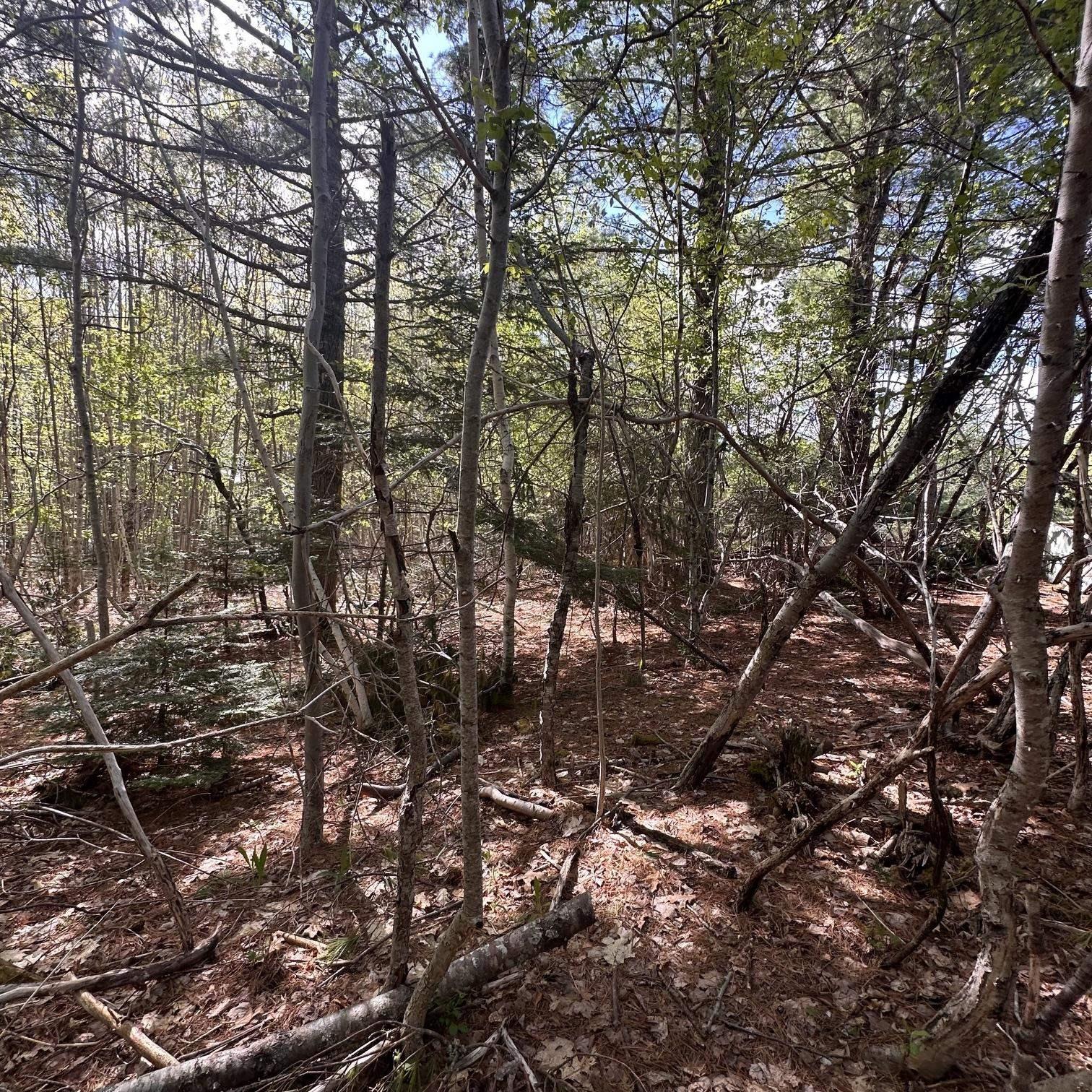 $29,900.00: 76 Wellington Road, Buckfield