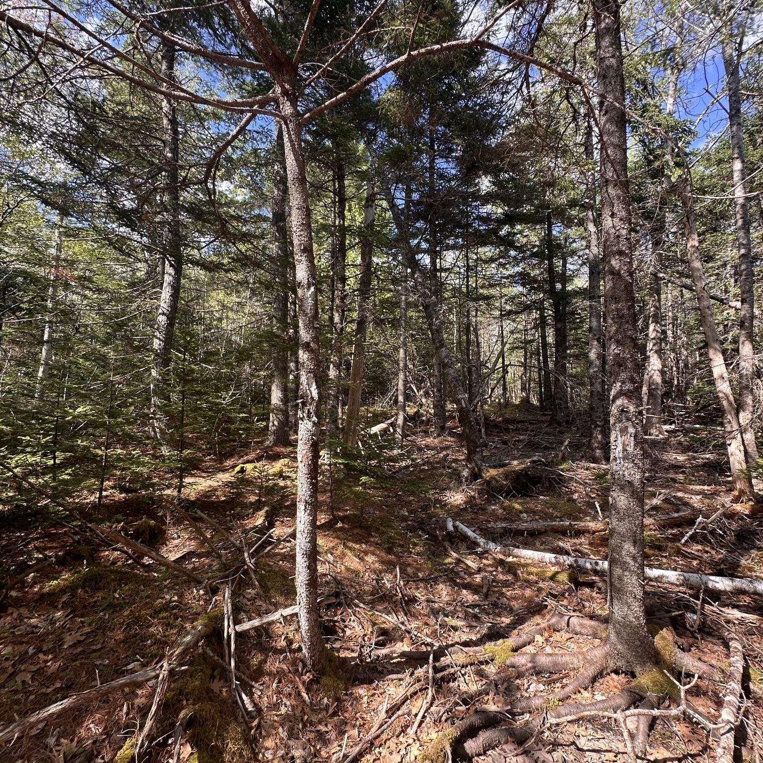 $29,900.00: 76 Wellington Road, Buckfield