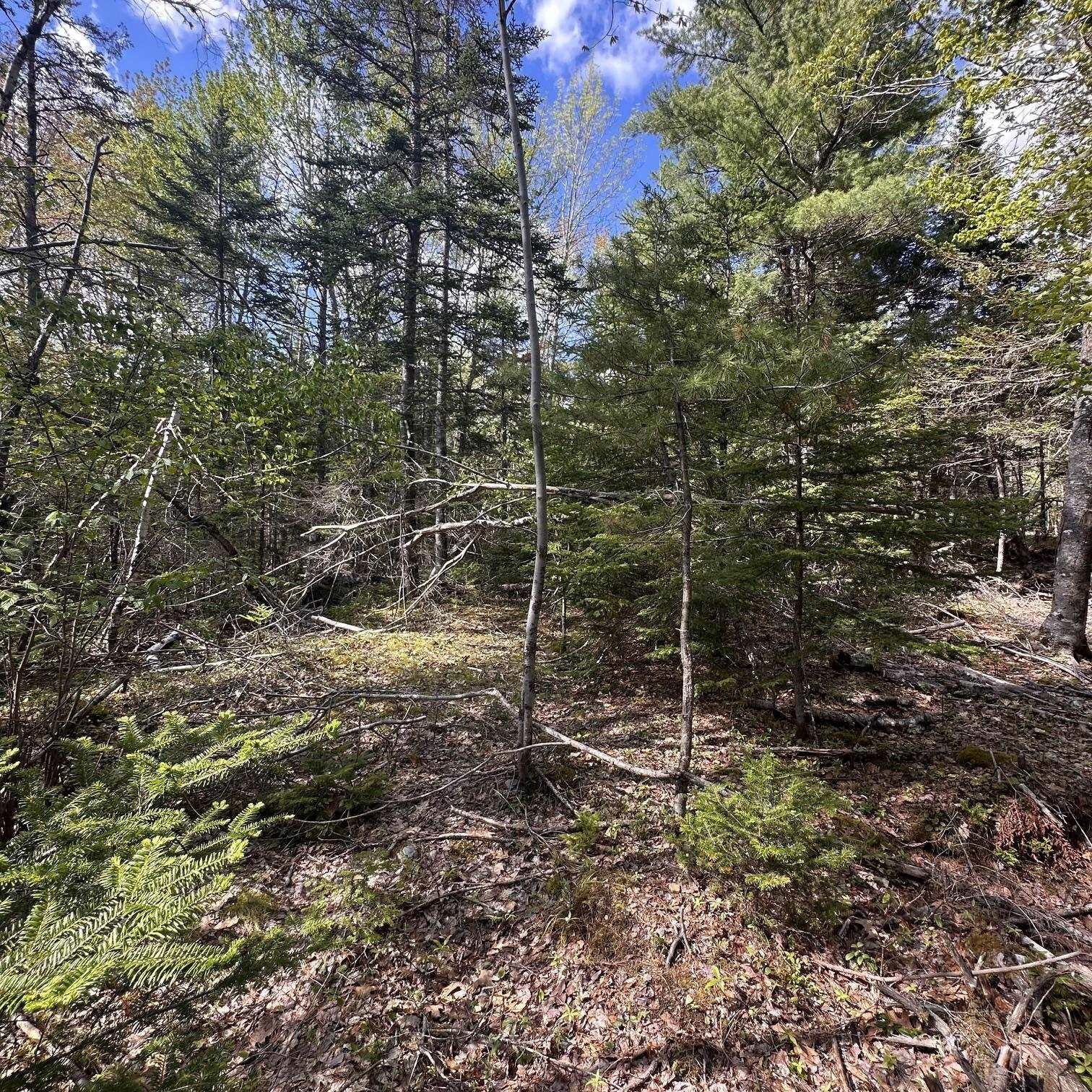 $29,900.00: 76 Wellington Road, Buckfield