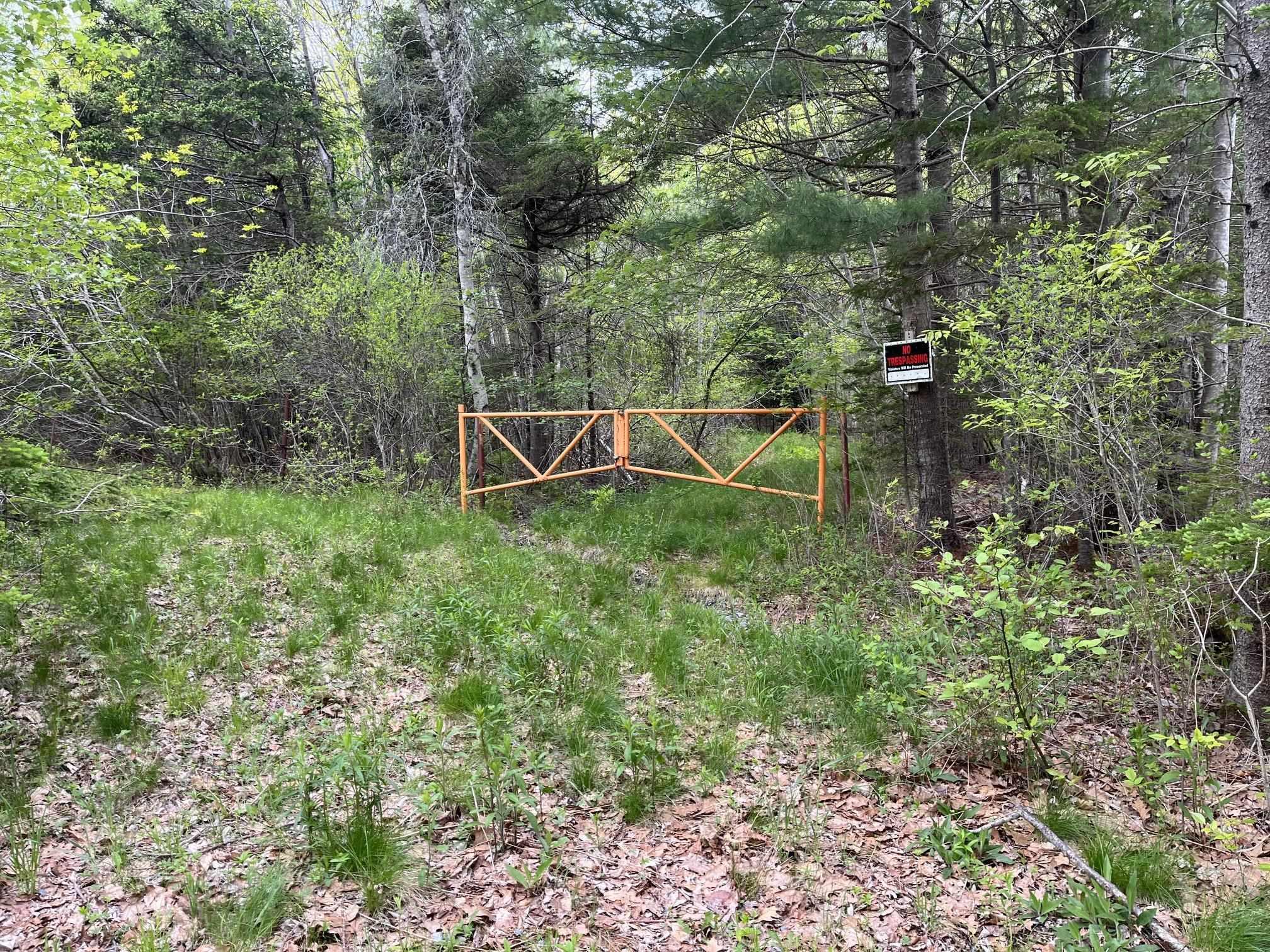 Land Locust Street, Brooklyn, NS (MLS® 202612998)