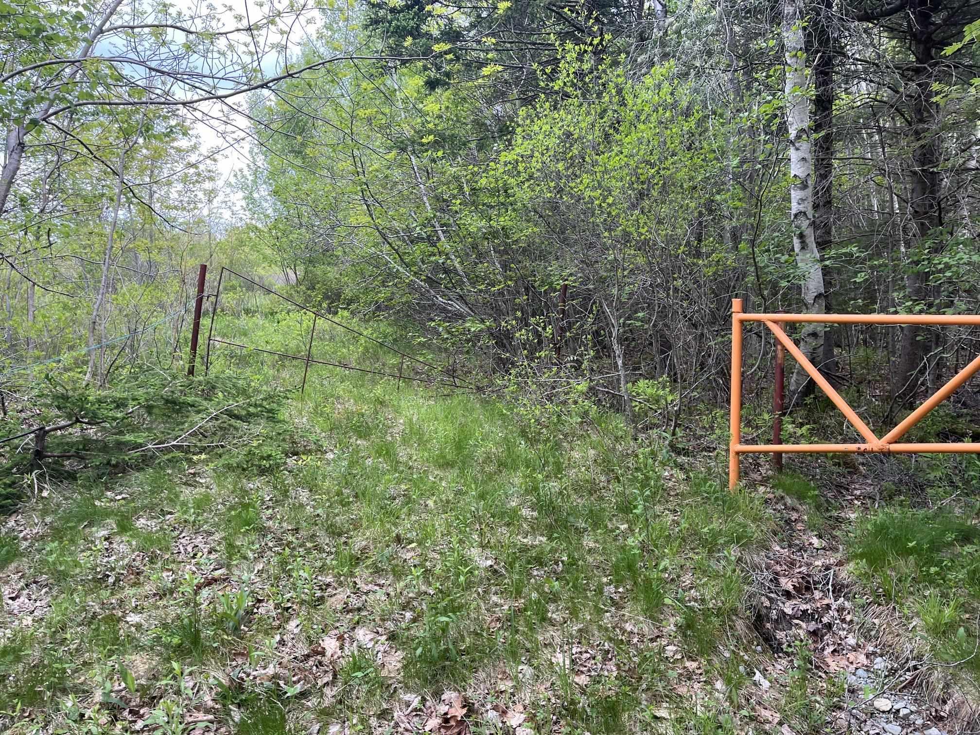 $229,900.00: Land Locust Street, Brooklyn