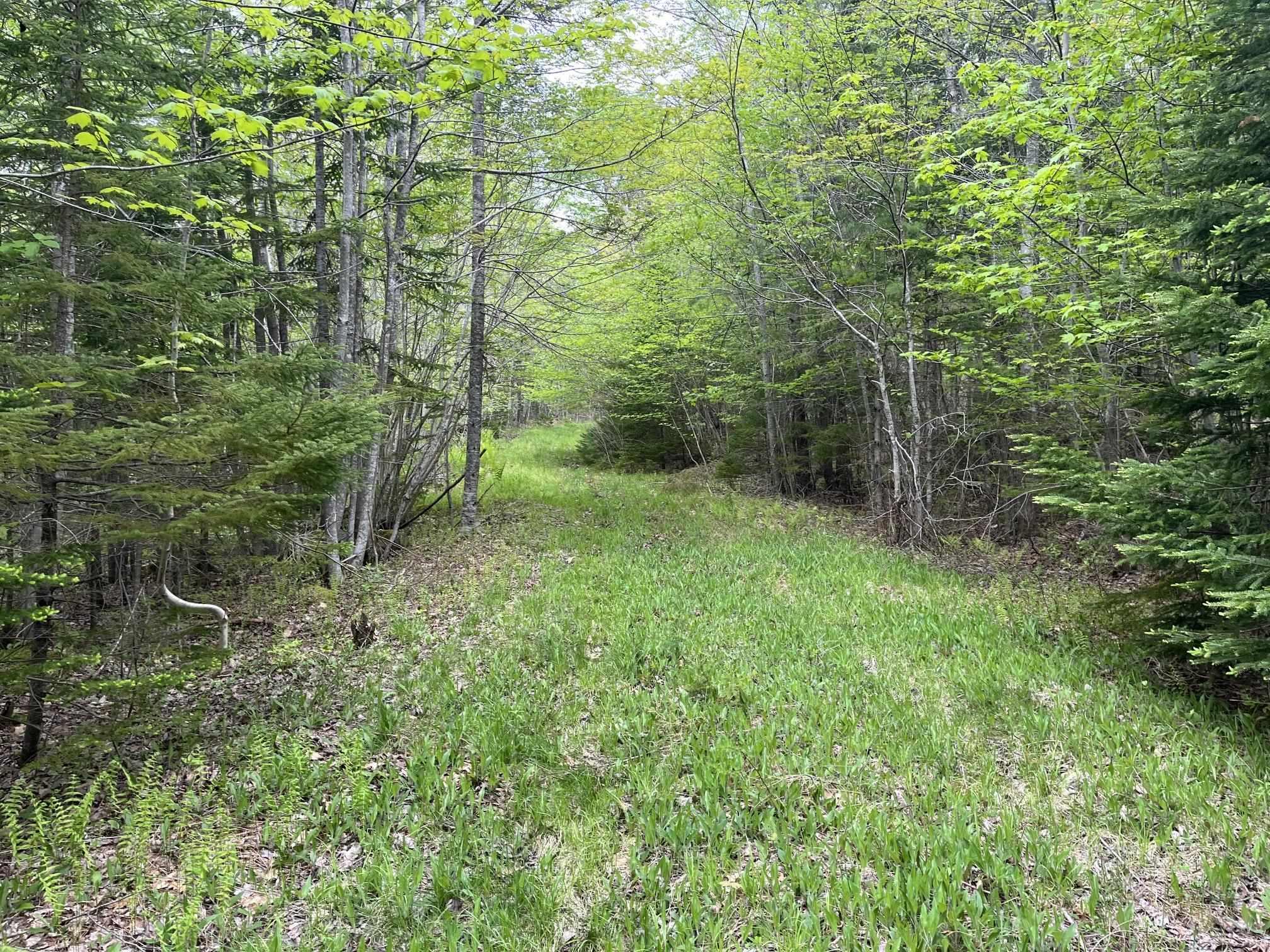 $229,900.00: Land Locust Street, Brooklyn