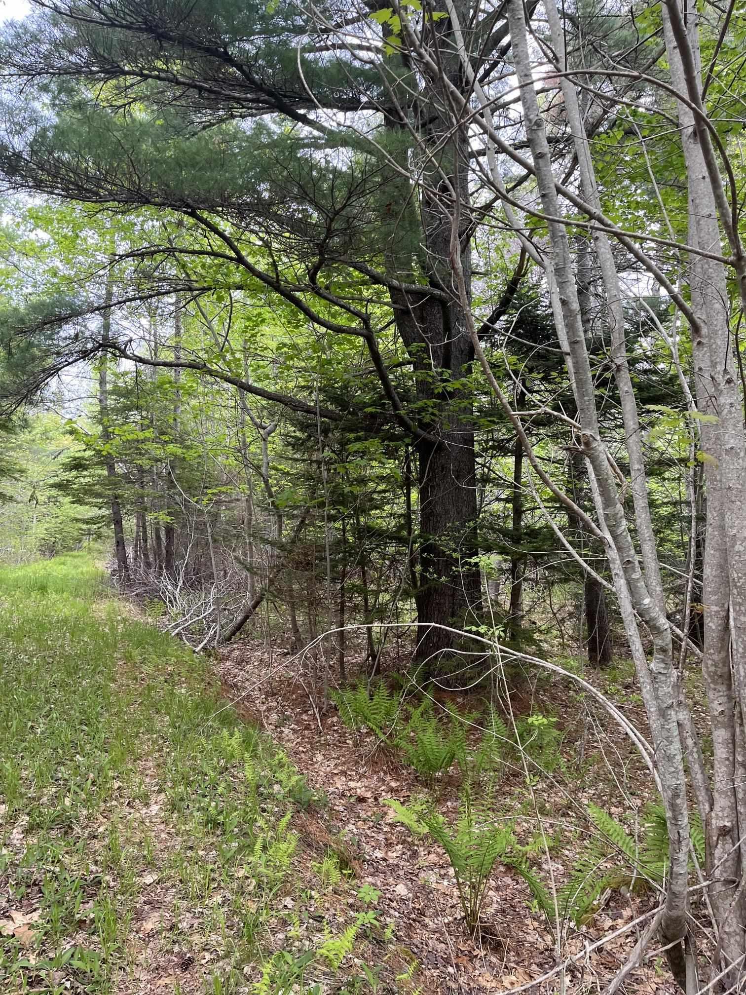 $229,900.00: Land Locust Street, Brooklyn