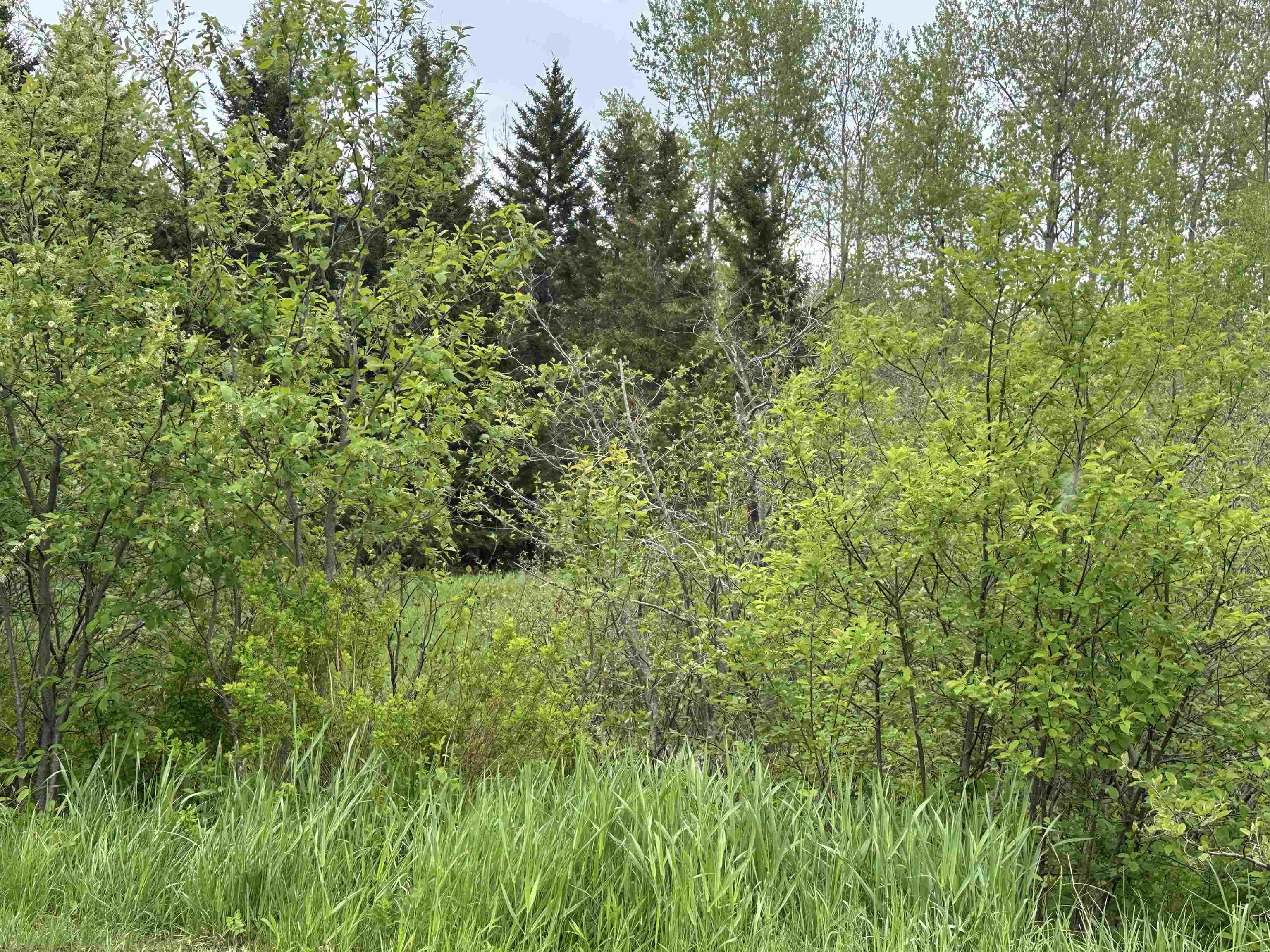 $19,000.00: Lot Old Row Road, Thorburn