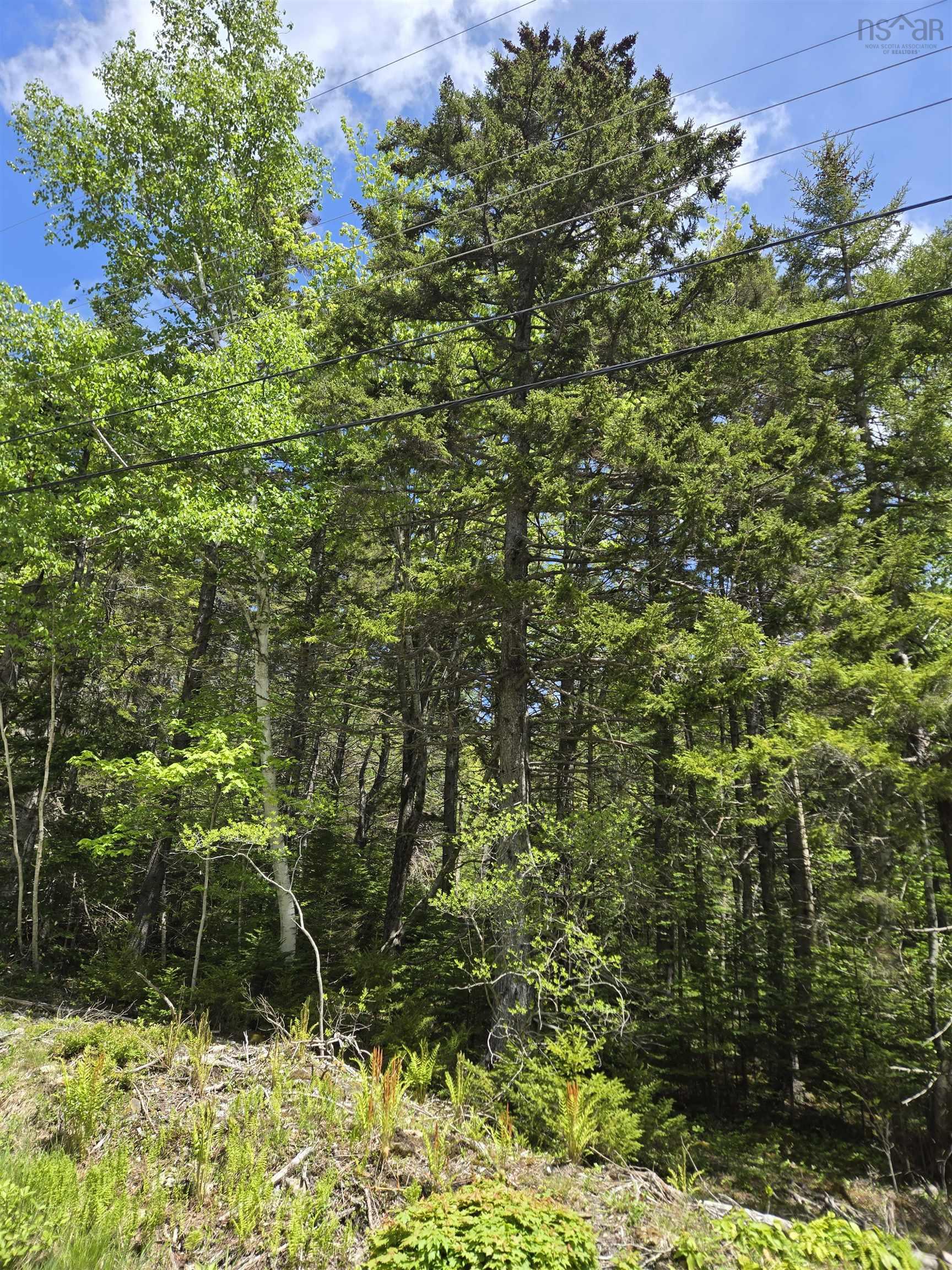 $79,000.00: Lot (PID 60462025) Lake Road, Conquerall Mills