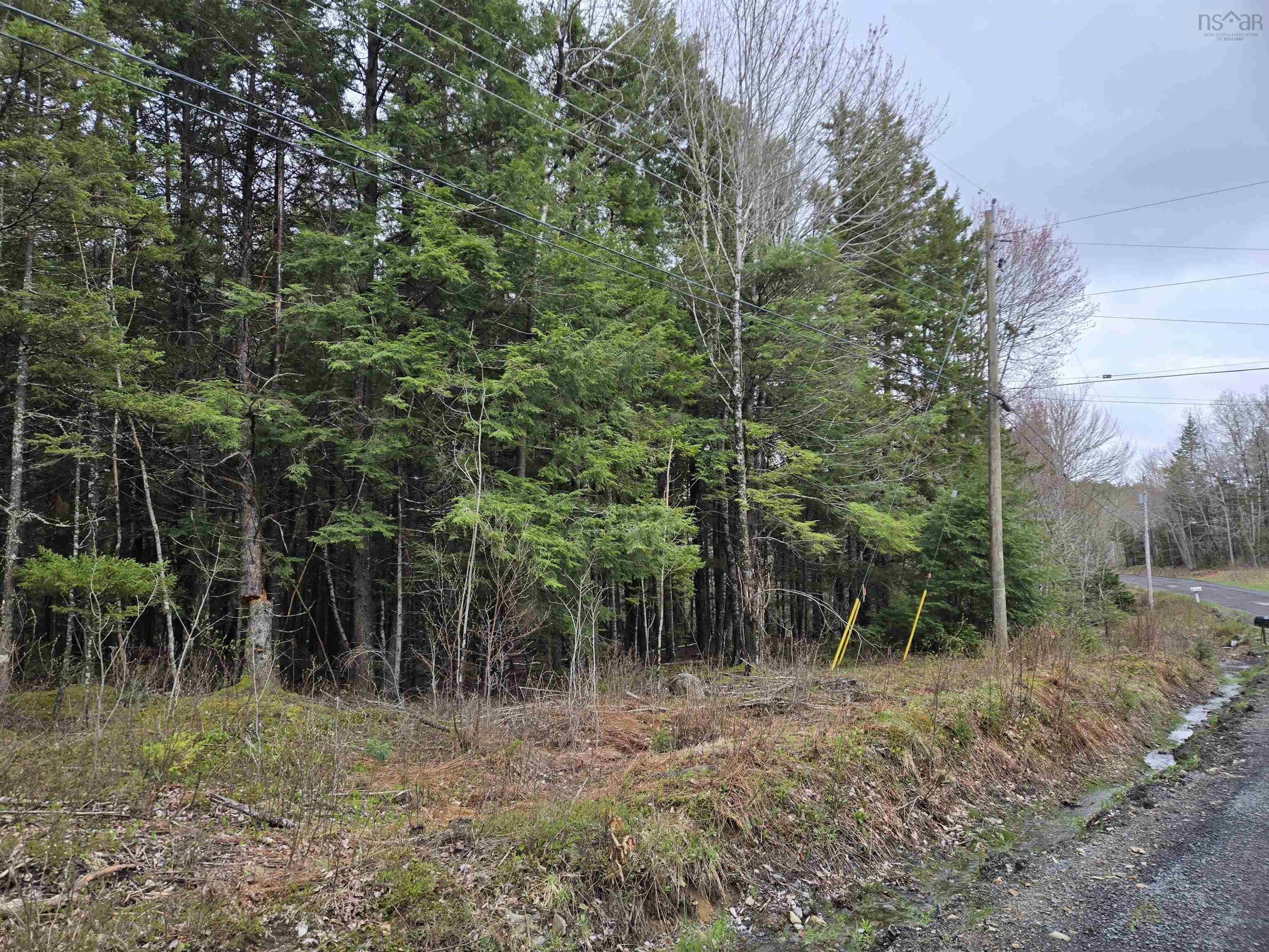 $79,000.00: Lot (PID 60462025) Lake Road, Conquerall Mills