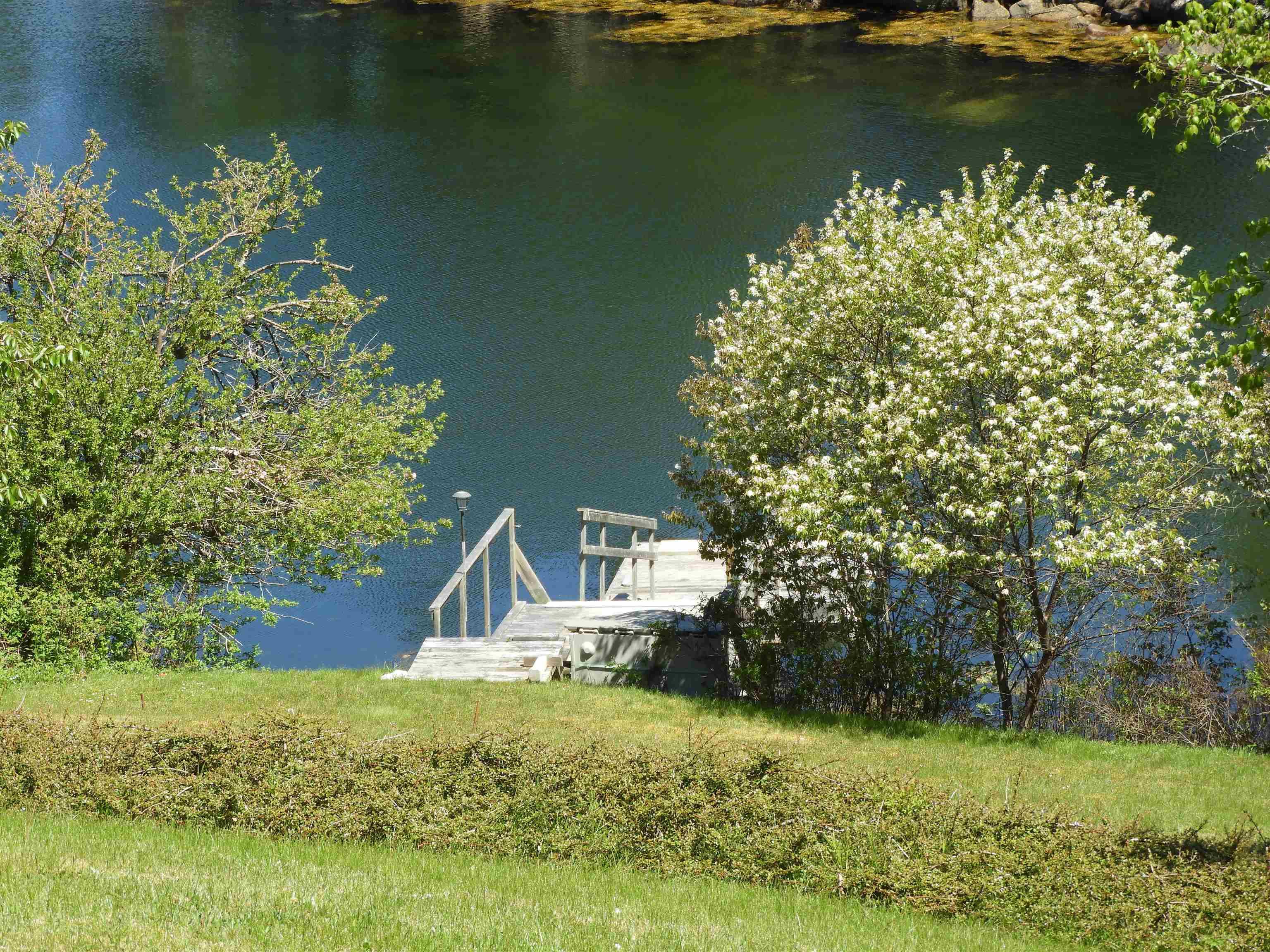 17 Paddys Head Road, Indian Harbour, NS (MLS 202613066)