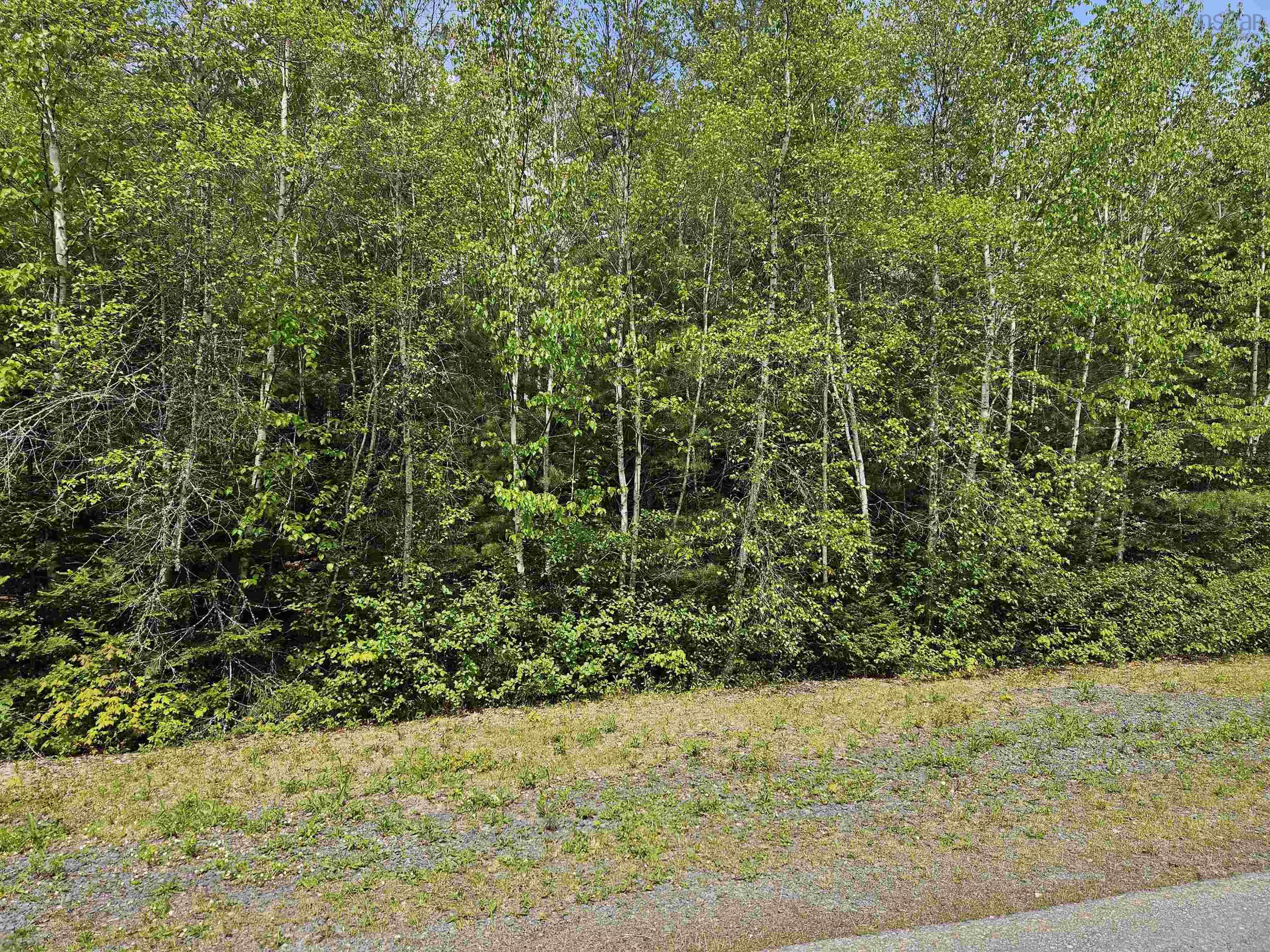 30 Lake Loon Road, Cherry Brook, NS (MLS® 202613089)