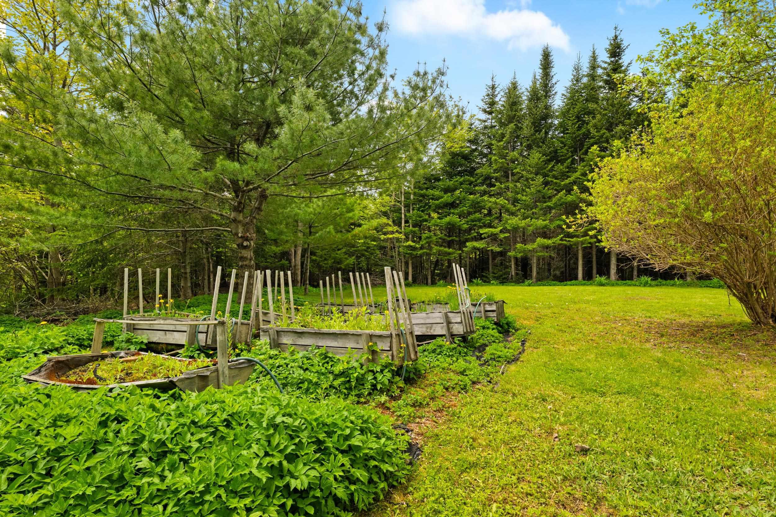 1090 Montague Road, Montague Gold Mines, NS (MLS 202613233)