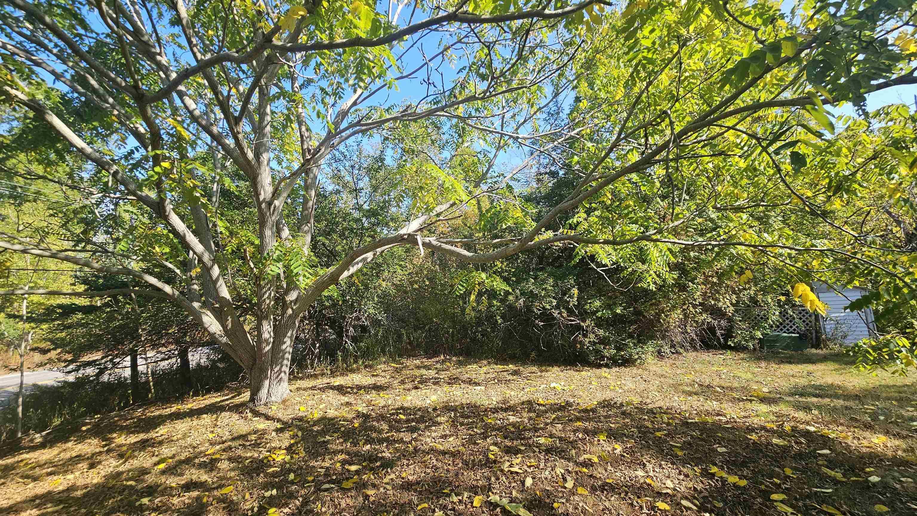$389,000.00: 2526 Highway 1, Upper Clements