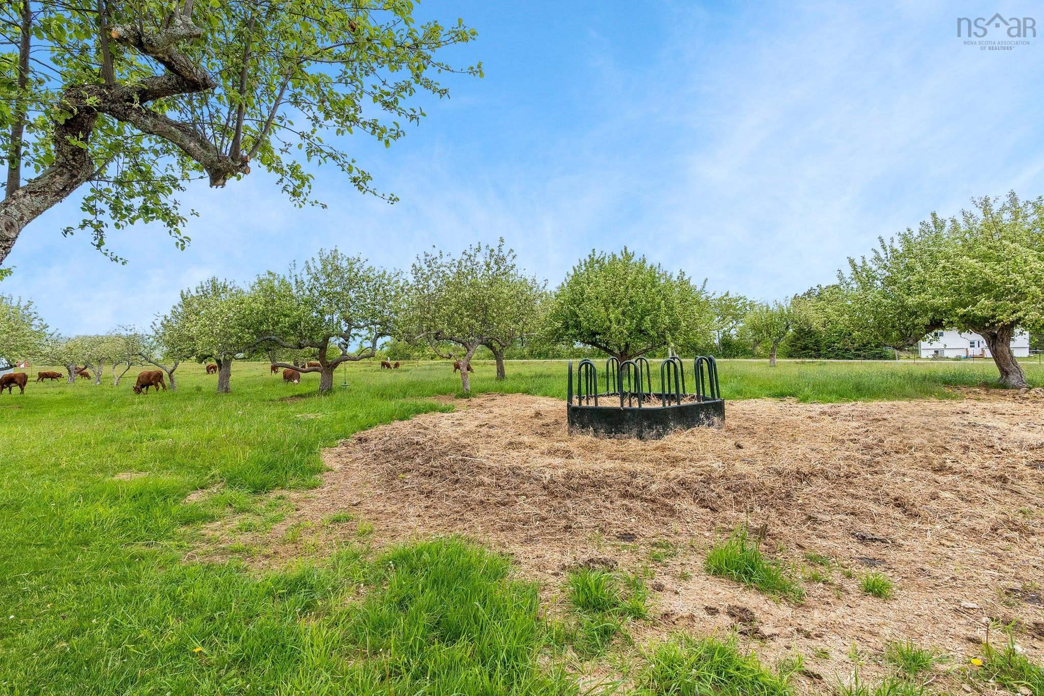 $685,000.00: 4035 Highway 201, Carleton Corner