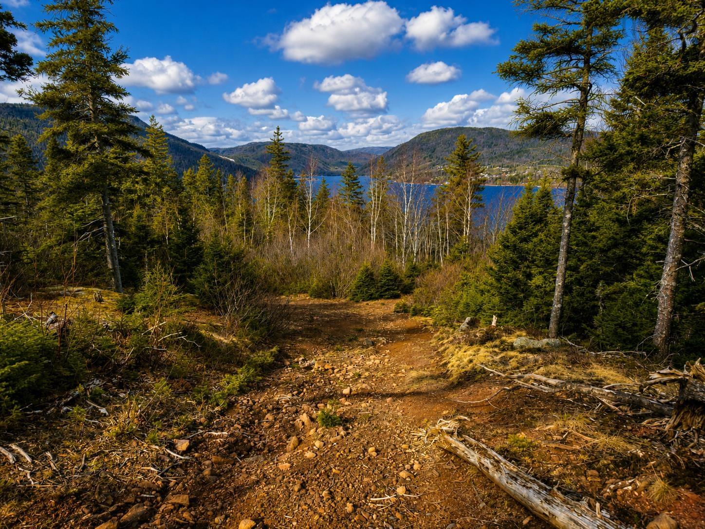 $119,000.00: Cabot Trail, Ingonish Ferry