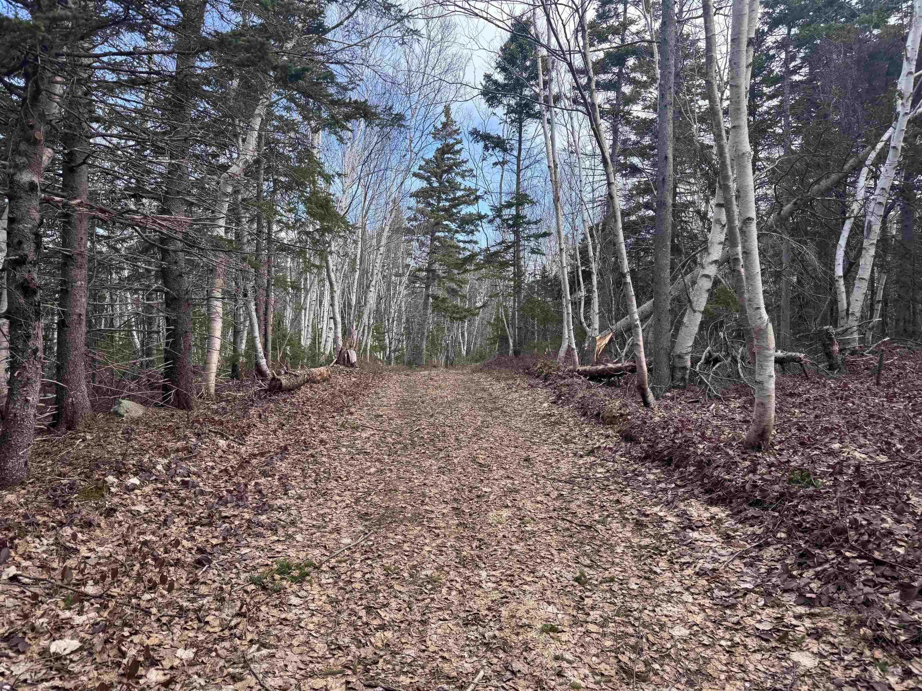 $119,000.00: Cabot Trail, Ingonish Ferry