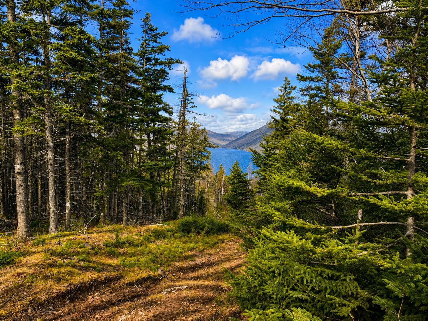 $119,000.00: Cabot Trail, Ingonish Ferry