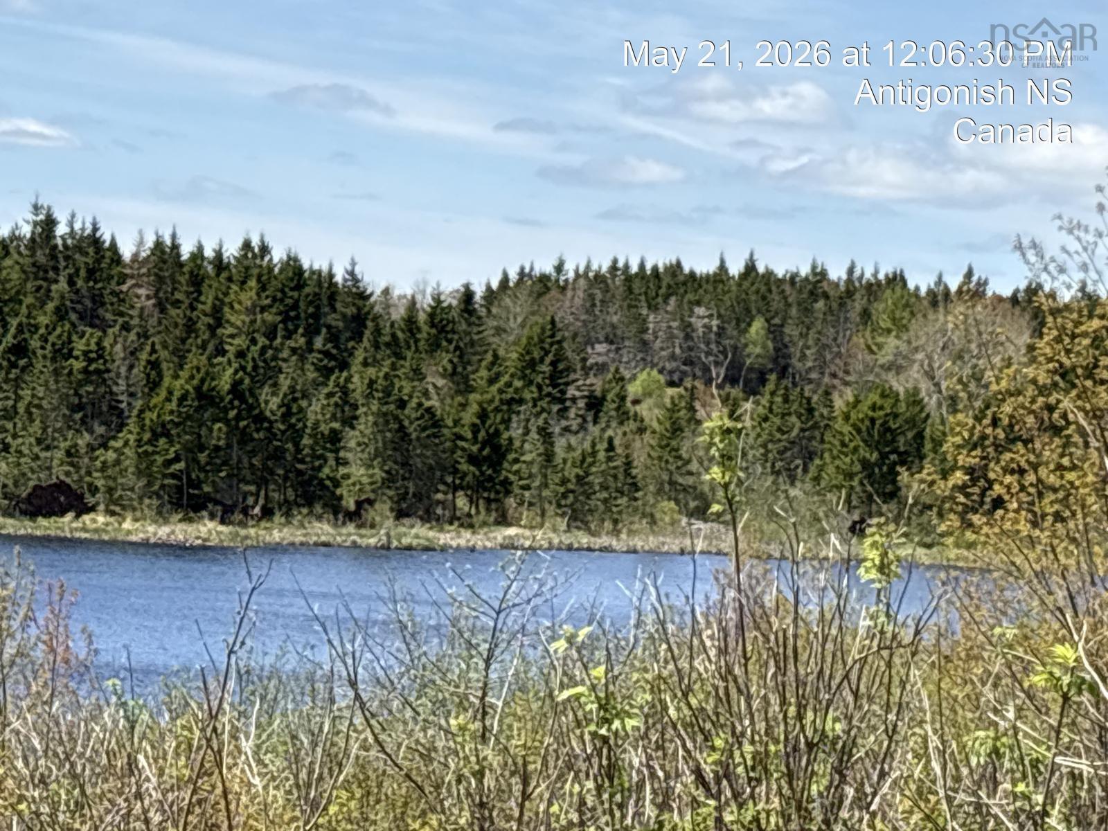 $1,200,000.00: 2897 Highway#7, Ashdale