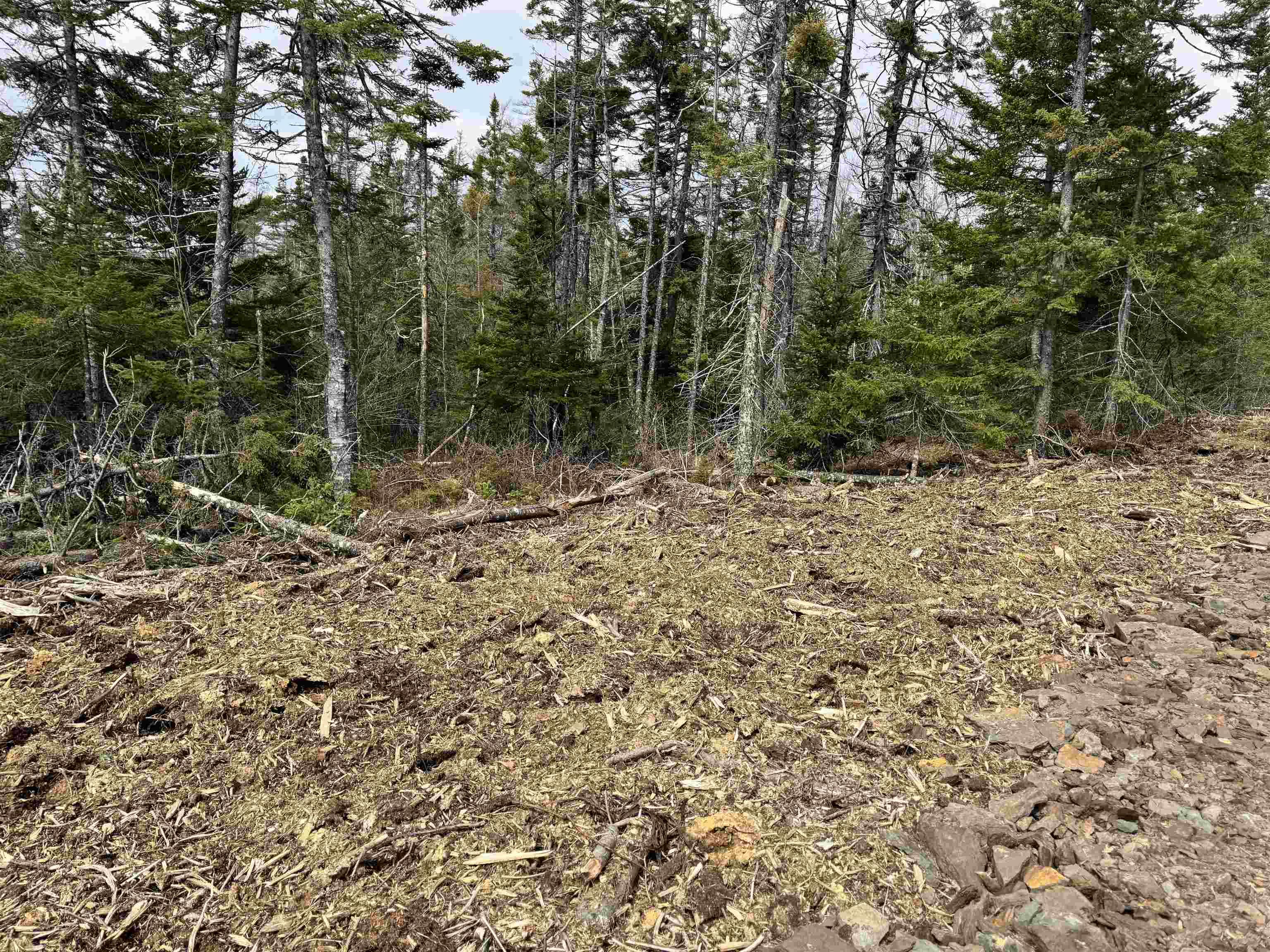 $99,000.00: Hillside Rd Lot 3 Marion Bridge, Marion Bridge