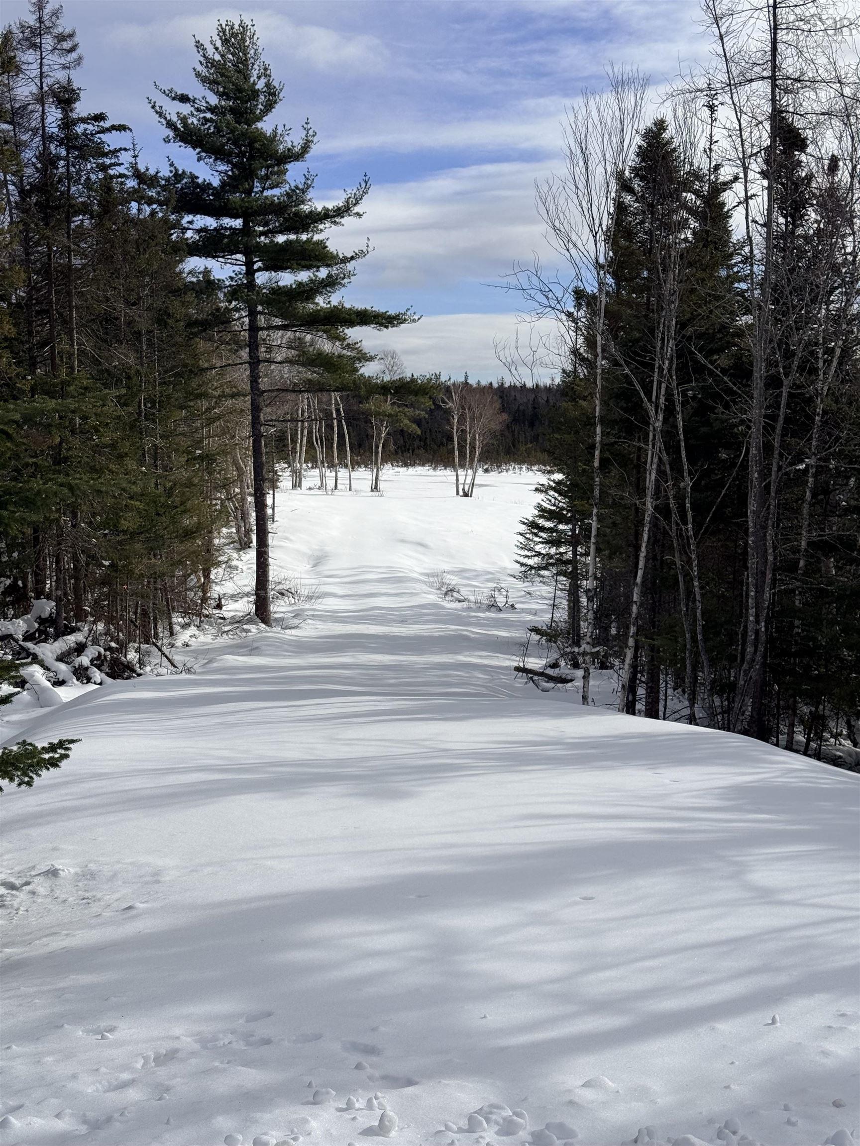 $99,000.00: Hillside Rd Lot 3 Marion Bridge, Marion Bridge