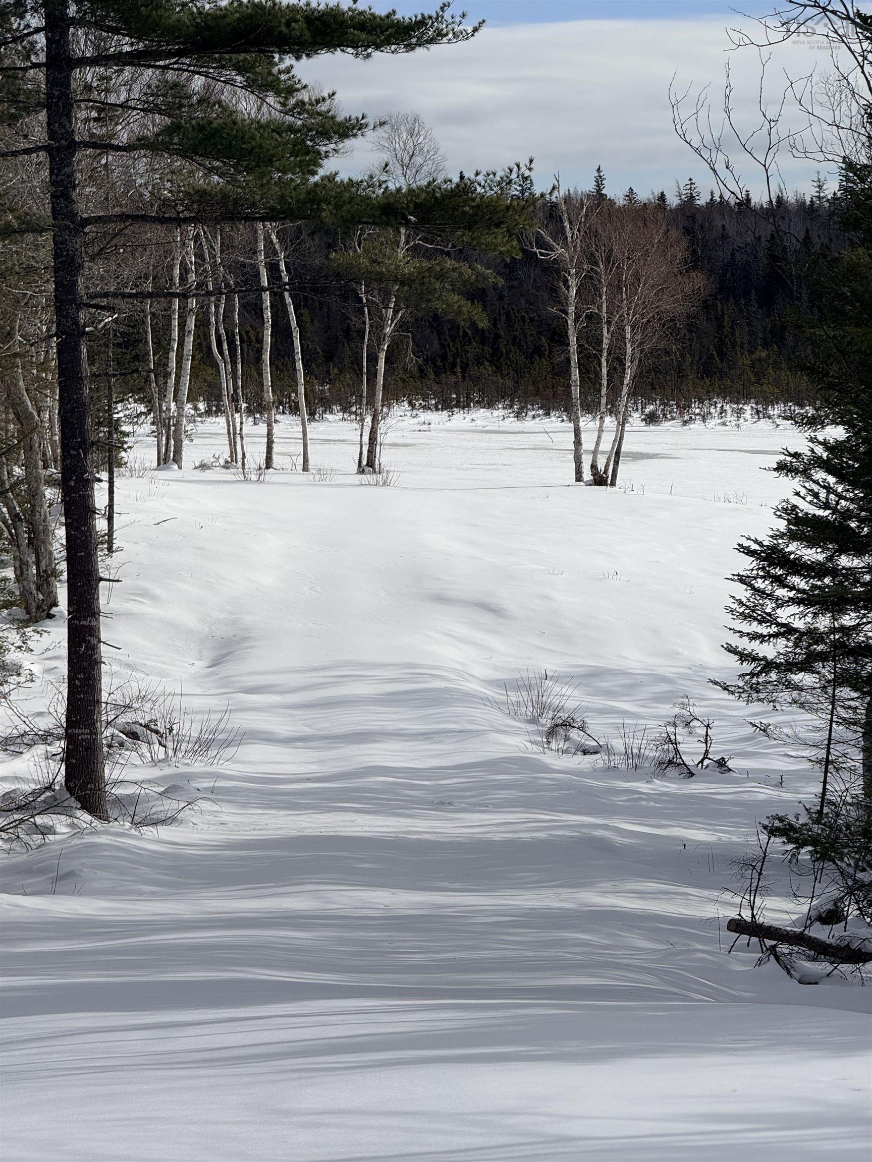 $99,000.00: Hillside Rd Lot 3 Marion Bridge, Marion Bridge