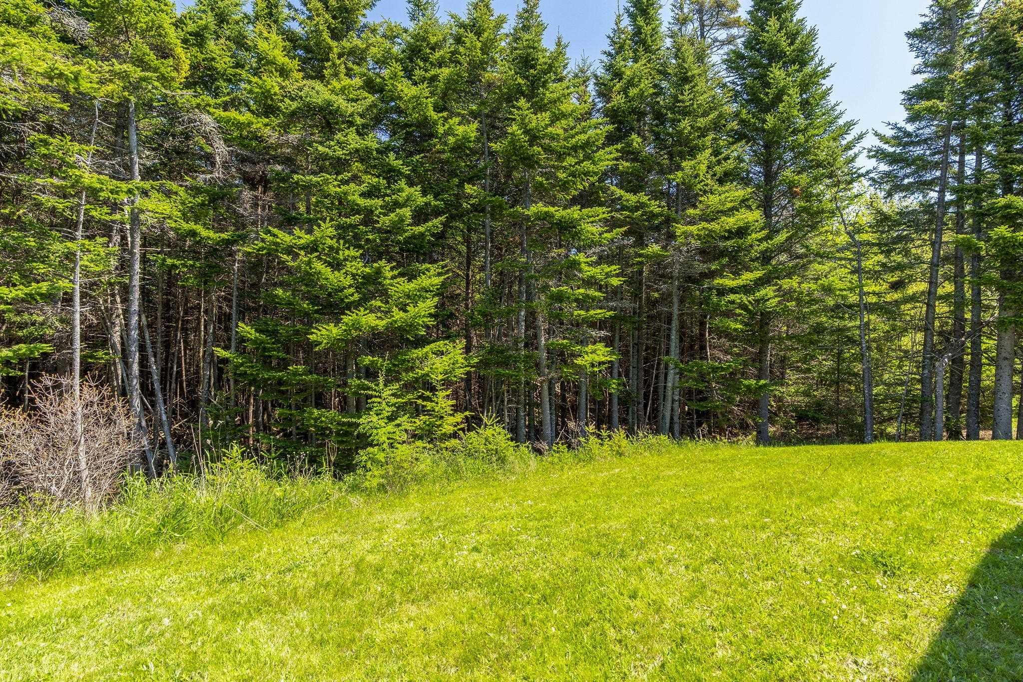 141 Birchill Drive, Eastern Passage, NS (MLS 202613460)