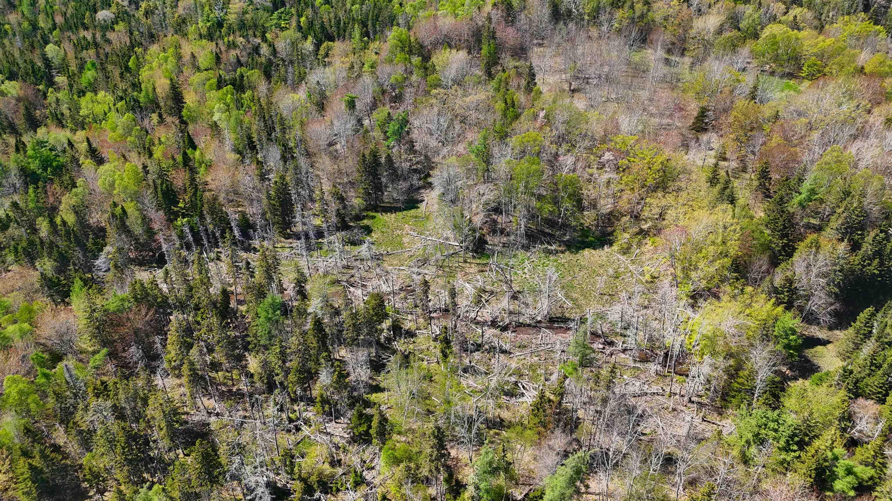 $139,000.00: 7004 Marble Mountain Road, Malagawatch