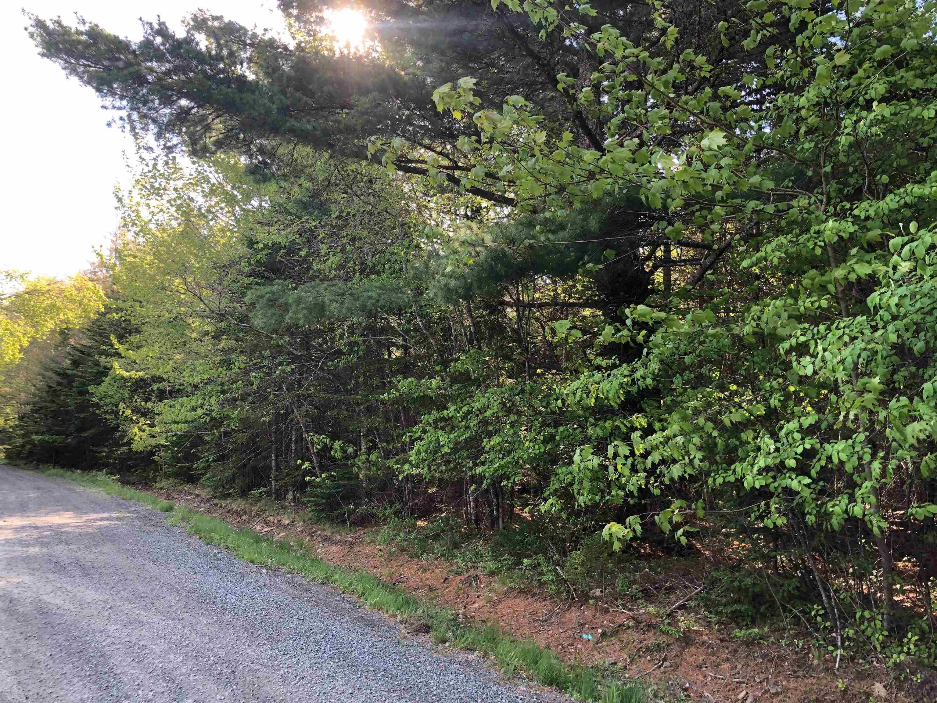 $89,000.00: Lot Mailman Road, Baker Settlement