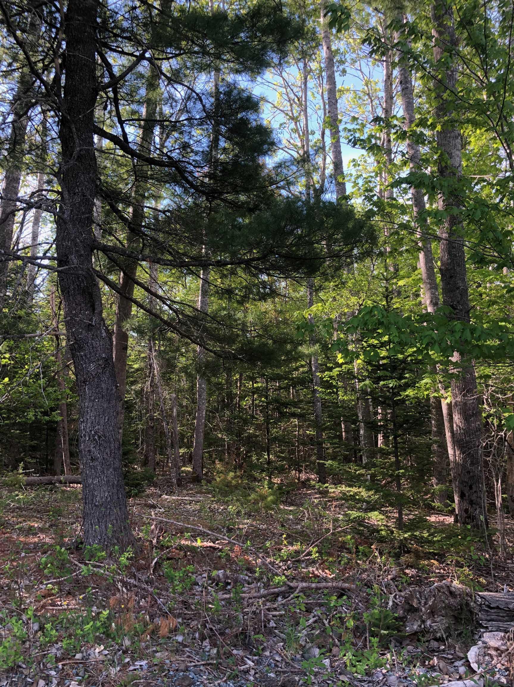 $89,000.00: Lot Mailman Road, Baker Settlement