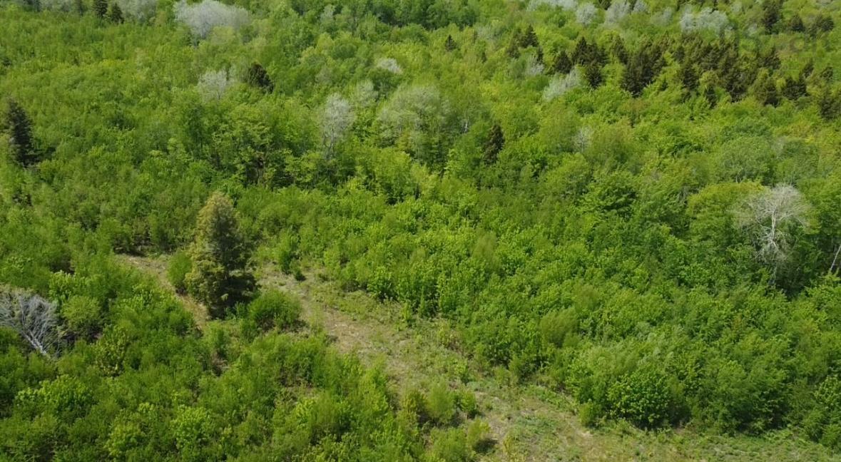 93a Junction Road, Springhill, NS (MLS® 202613524)
