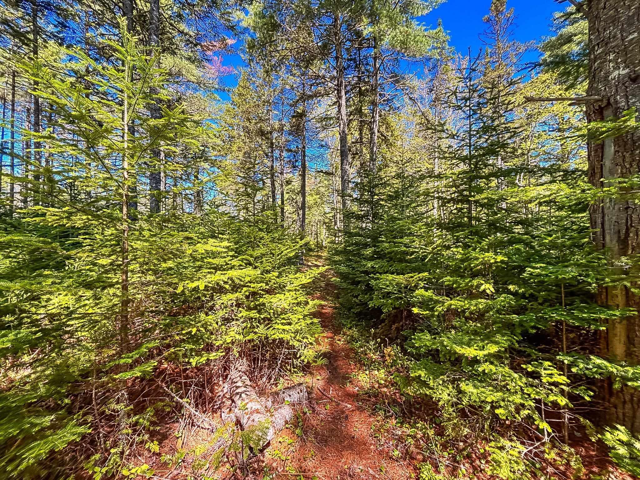 $399,900.00: 7822 Highway 3, Martins River