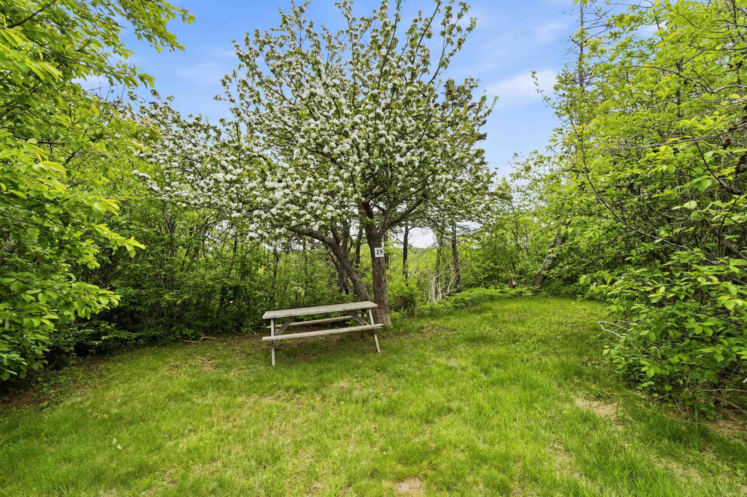 $700,000.00: 50 Whale Cove Road, Whale Cove