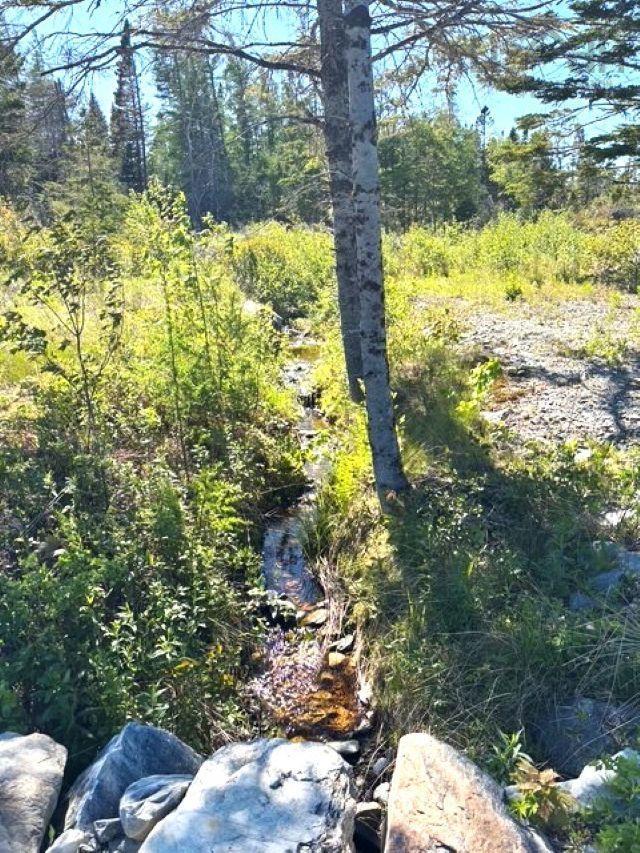 $119,000.00: Lots 1,2,3 East River Road, Sheet Harbour