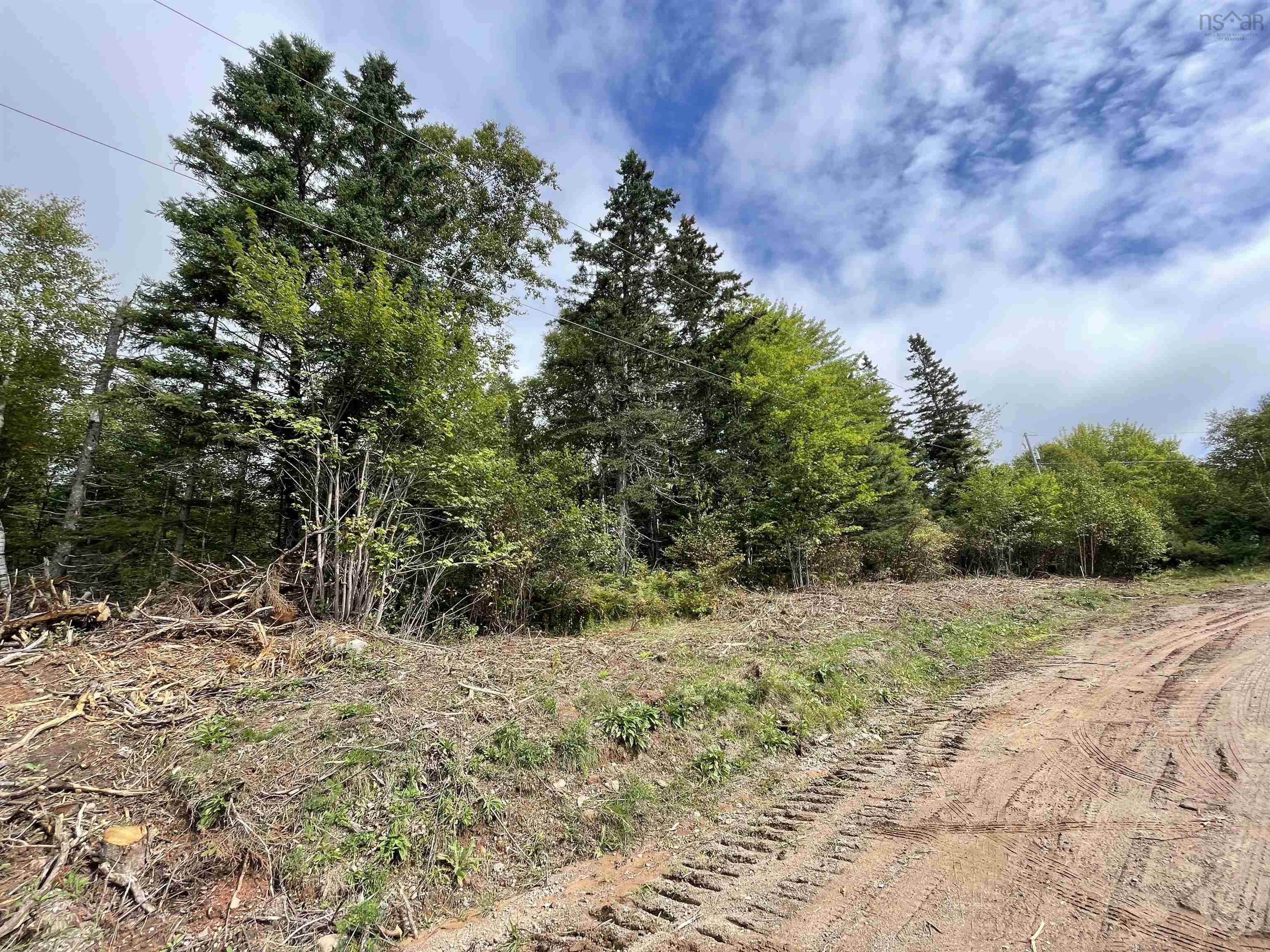 $150,000.00: Orangedale-Iona Road, Orangedale